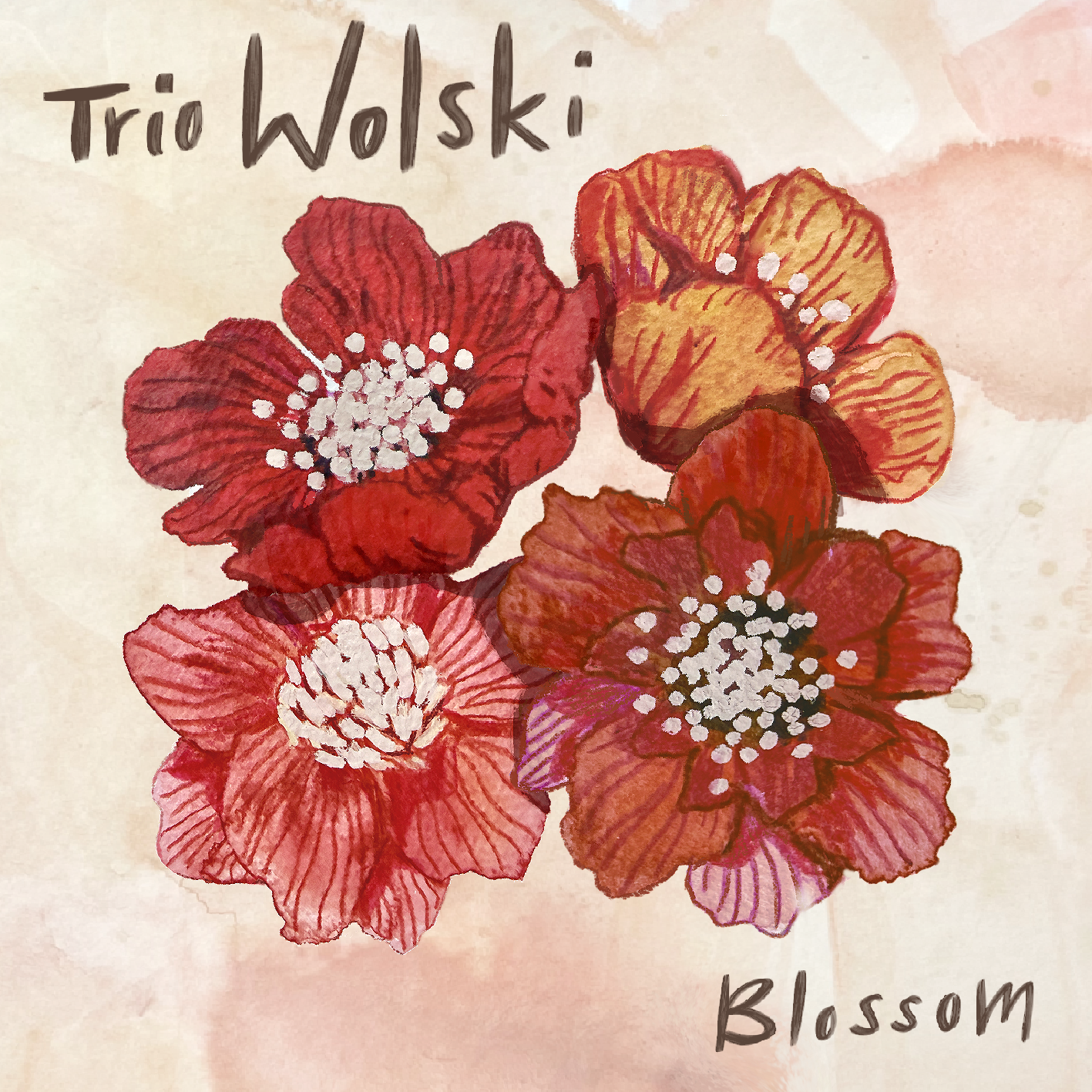 New album with Trio Wolski