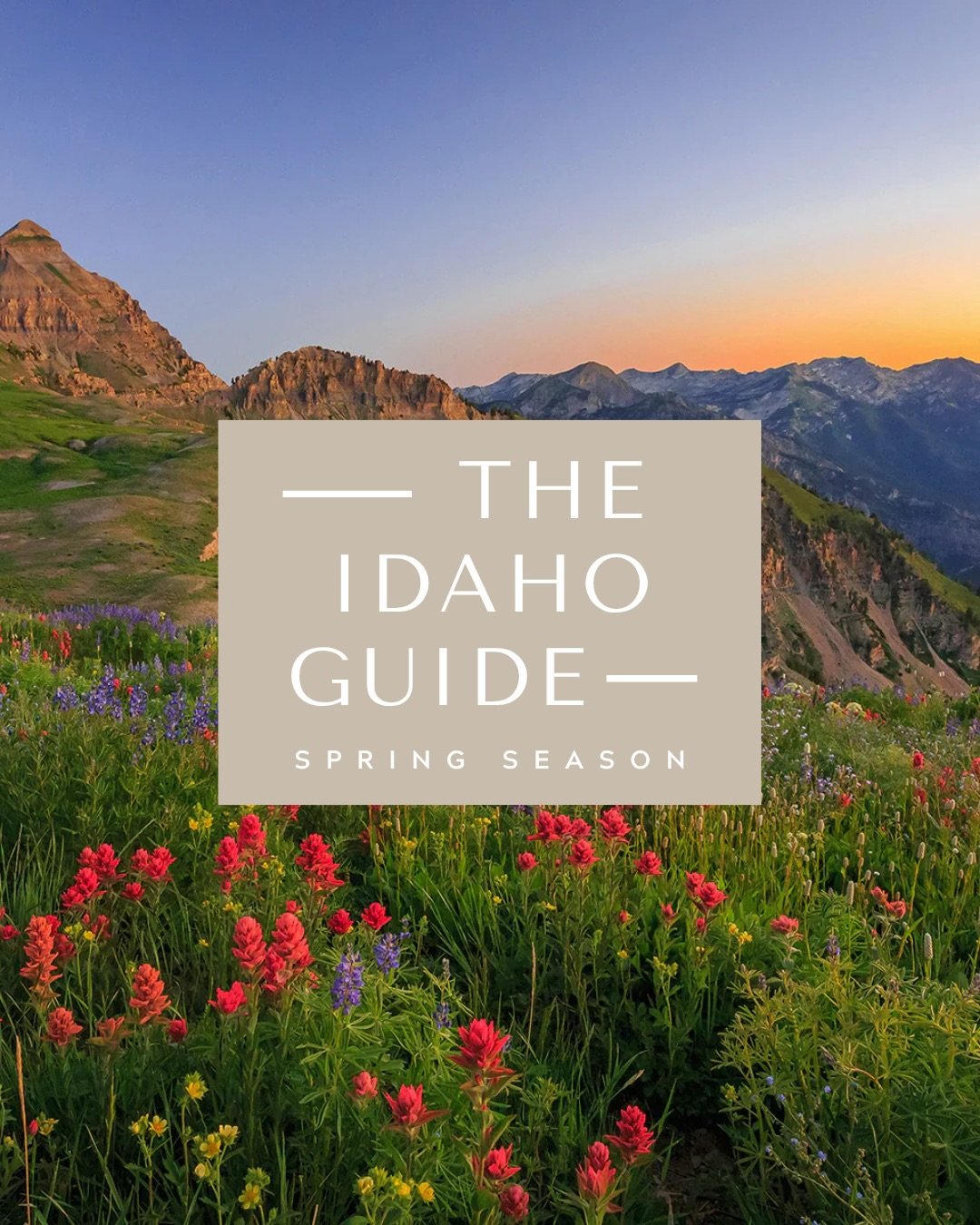 Spring is one of my favorite times of the year in Idaho 🌷
⠀⠀⠀⠀⠀⠀⠀⠀⠀
Everything (and everyone) comes back to life as we get to spend more time outside in the sun and see the flowers bloom and the trees turn green again ☀️
⠀⠀⠀⠀⠀⠀⠀⠀⠀
These are some of 