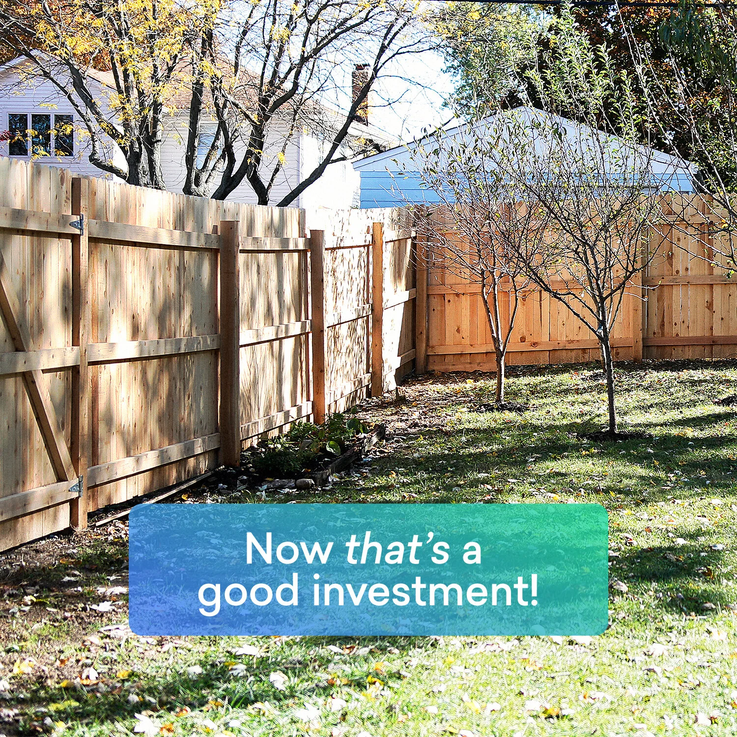 Adventures in homeownership On the fence—cedar vs. pine? — Plunk