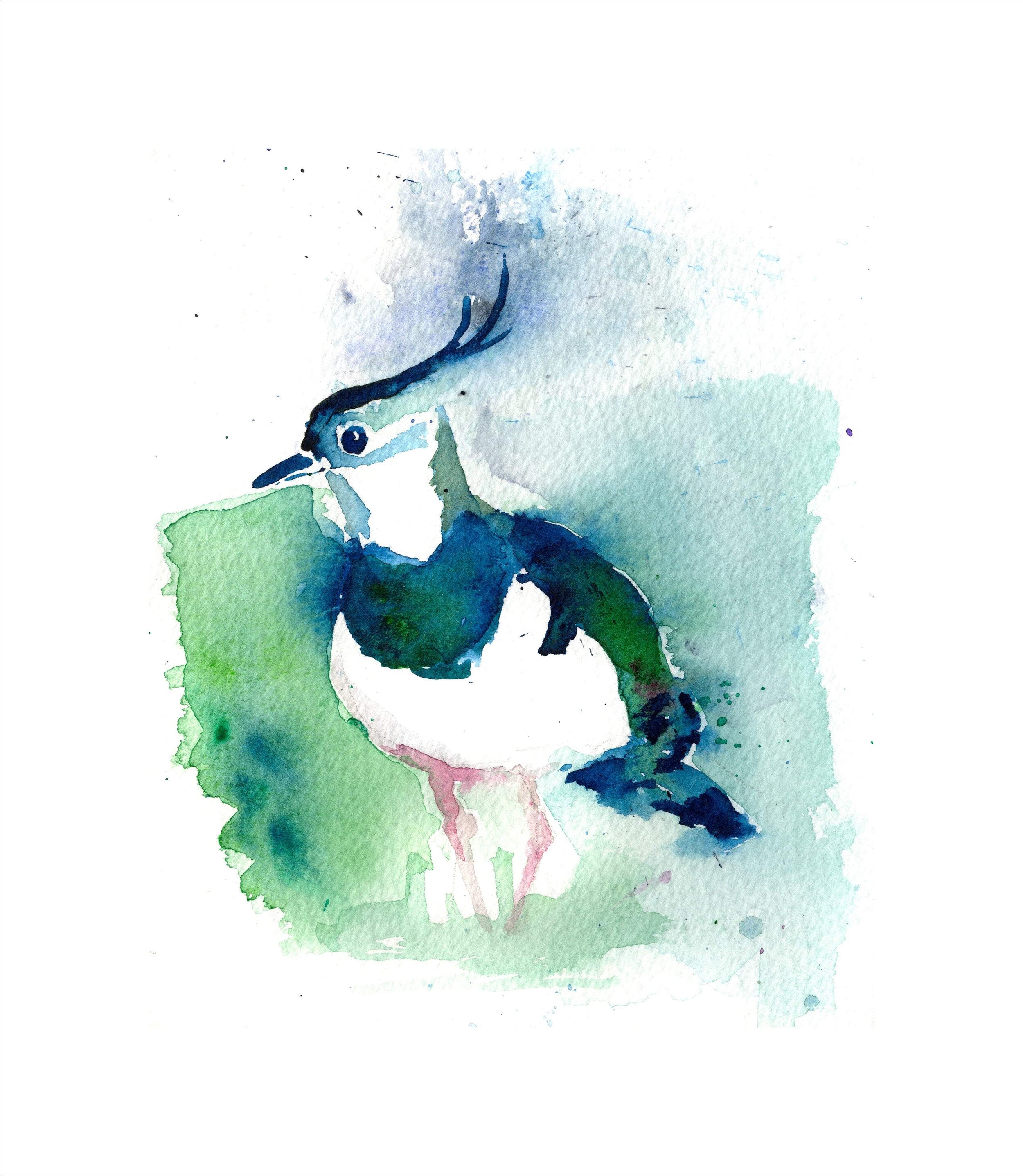 Allison Webster signed LIMITED EDITION PRINT of original watercolour 'Lapwing'