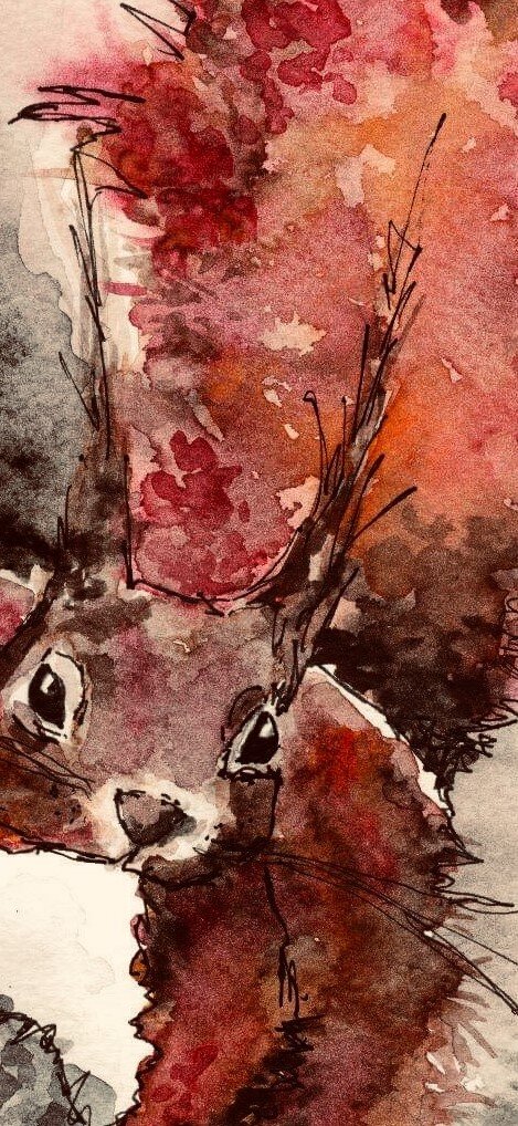 Red Squirrel cropped2.jpeg
