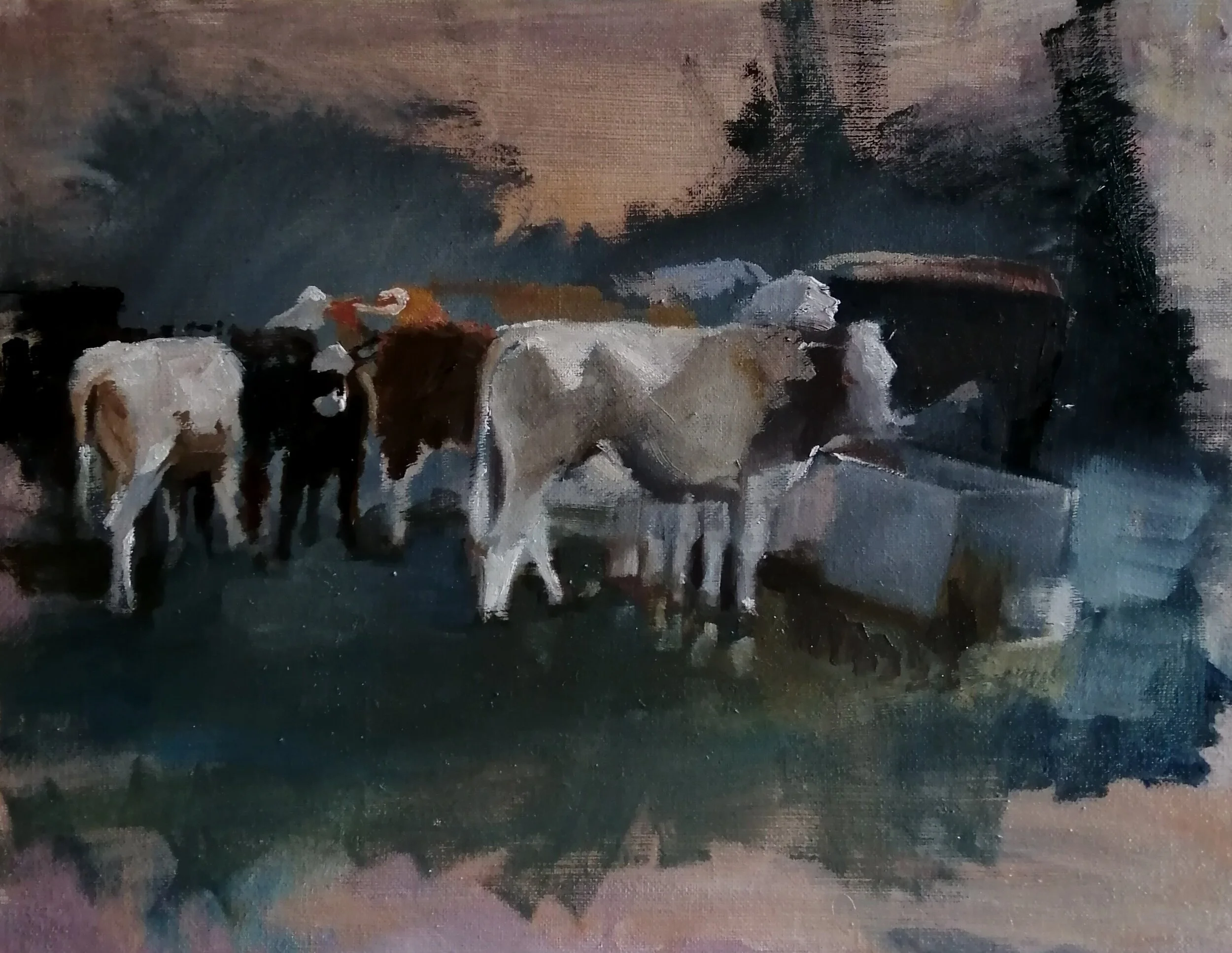  Cows drinking in the evening  Oil on board  40x30 cms  SOLD  This is a quick painting of cows around a trough, drinking in the evening as the sun goes down in the background. The whole foreground has been painted over an orange ground, which emerges