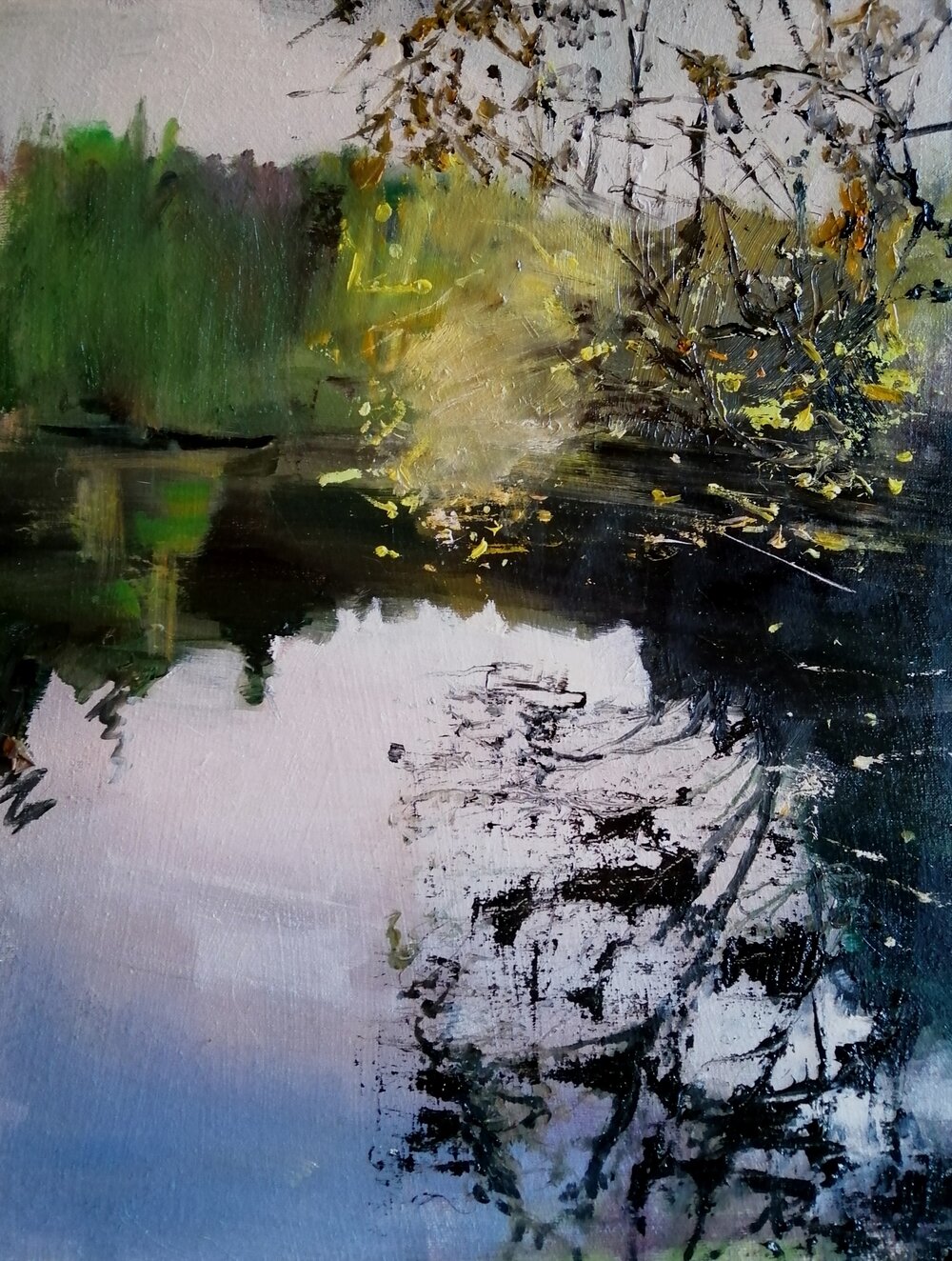  Lake in autumn  Oil on board  30x40 cms  An impression of leaves reflected over a lake, partly with autumn colours, and also silhouetted against an early evening sky. 