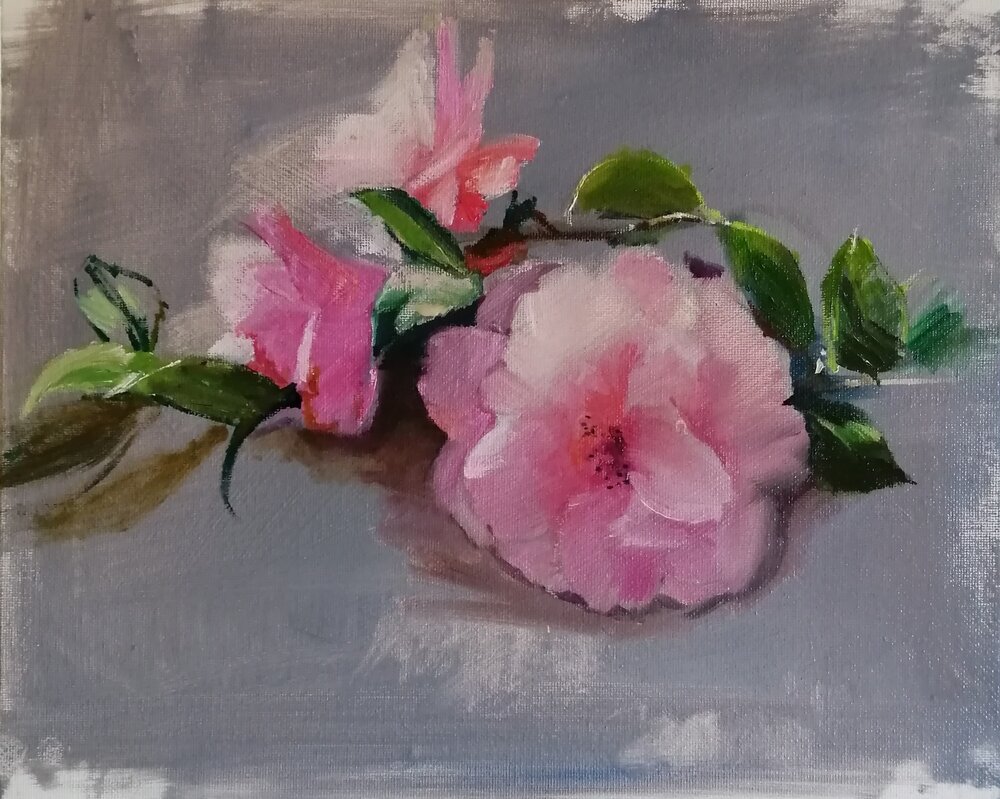  Camellias  Oil on board  31x26 cm SOLD  Camellias, cut and lying on a surface. This painting describes in shades of pink, the delicacy of the petals, and in deep sketchy greens, the contrasting glossy leaves. 