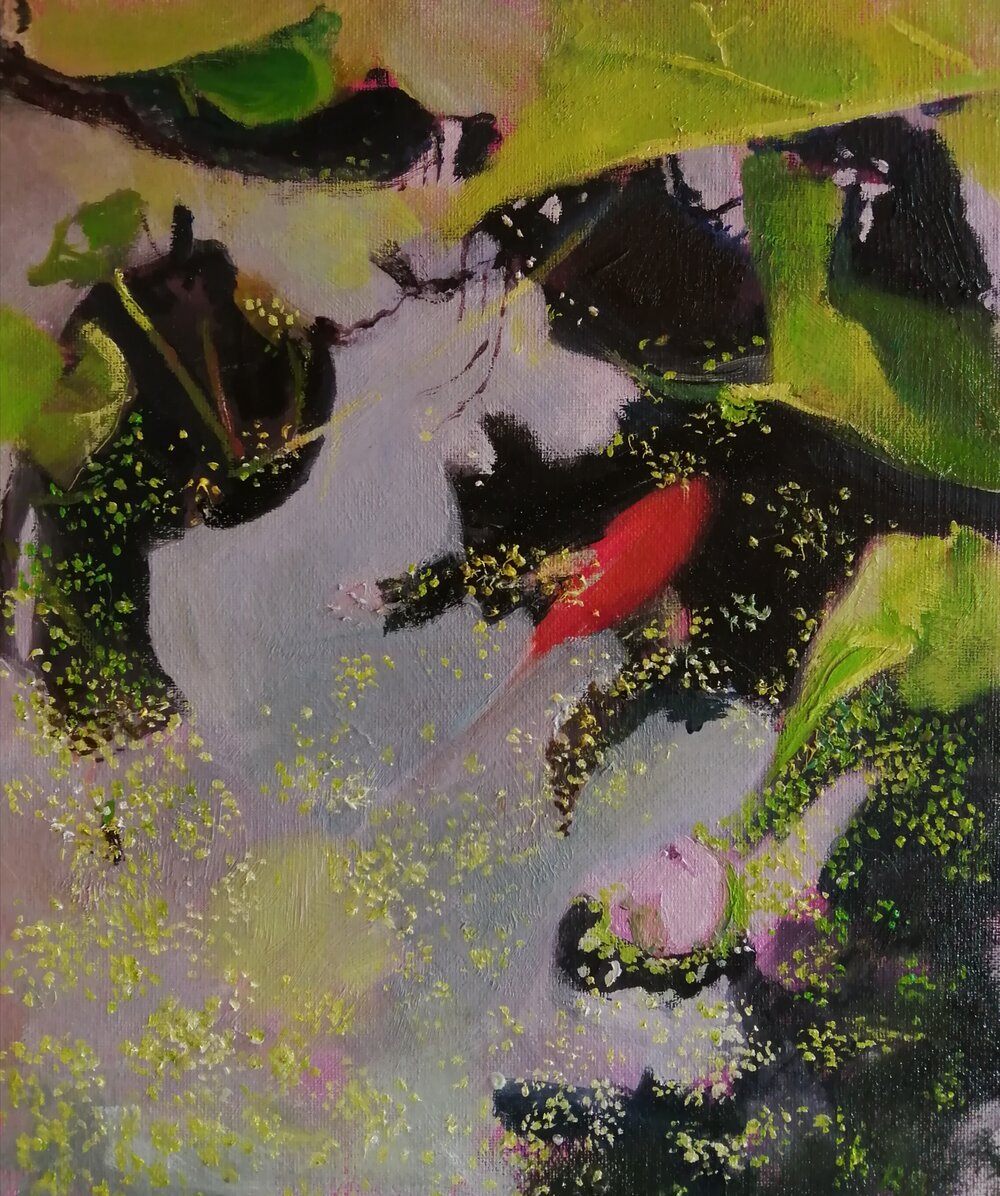  Lily pond  Oil on board  26x31 cm  £450  A contemporary impressionist painting of reflections on the surface of a lily pond 