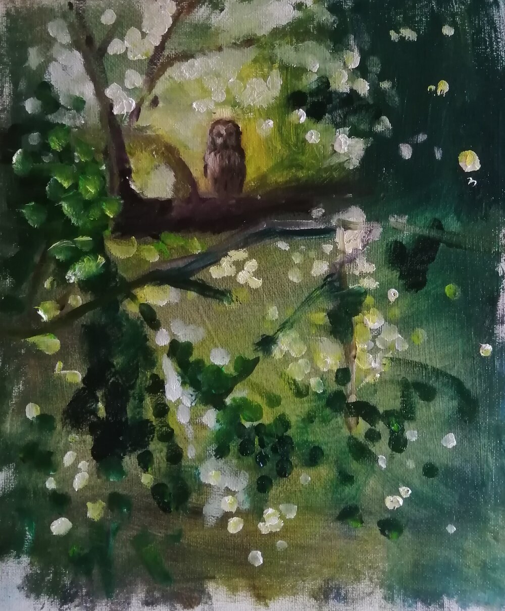  Unwelcome  Oil on board  26x31 cm  £400  A brooding semi abstract landscape with an owl in the centre, stumbled across in the day time. The title suggests the feeling of intrusion by human onlookers into a natural, almost sacred place, and in turn, 