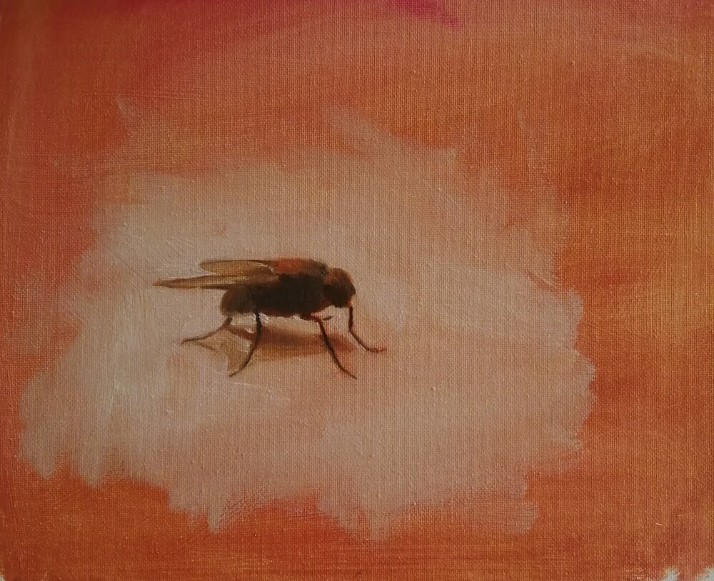  Fly  Oil on board  31x26 cm  £350  An oil painting of a fly, painted in a realist style. Perhaps this could be described as a democratic painting, taking into account the humble fly, which most of us see as an irritant, but which plays its part in t