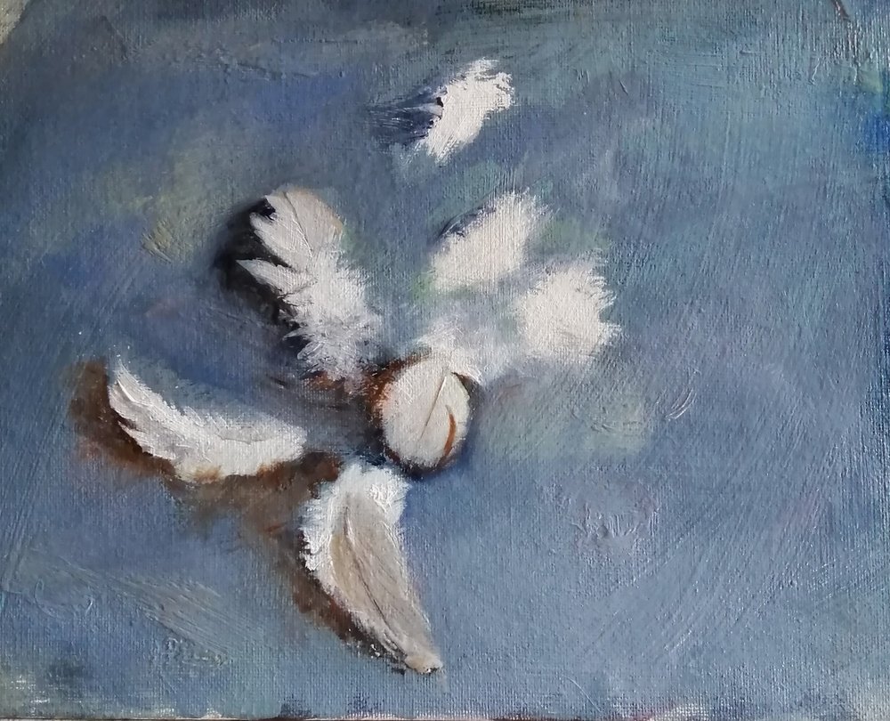  A flurry of feathers  Oil on board  26x21cm  £395  The aftermath of a  small incident in the garden; flying feathers, caught in an unusual still life which also tells a story. Painted in an impressionist style, but with realist tendencies. 