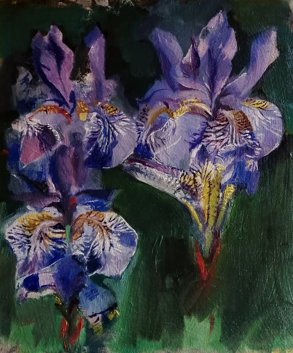  Irises  Oil on board  26x31cm  £420  A study of irises in a garden in springtime, with the sunlight shining through their delicate patterned petals. Painted in an impressionist and realist style this painting would bring colour and joy to any wall 