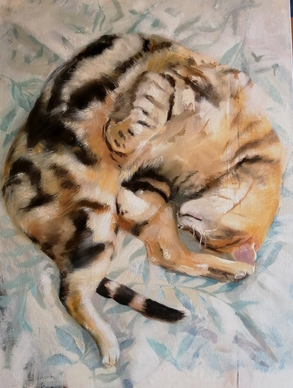  Time share  Oil on board  31x40cm  The title of this artwork refers to the shared use of my bed between me and my Bengal cat, Polka. Painted in a realist style, the luxurious quality of the cat's silky fur is almost palpable, as is the nature of his