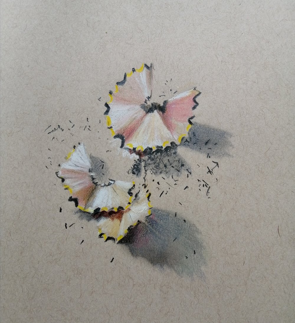  Pencil sharpenings  Pencil on paper  not currently available  A still life drawing of pencil shavings on paper, drawn with the same pencil (and a coloured pencil) on paper. Sunlight and shadows enhance the delicate three dimensional quality of the s