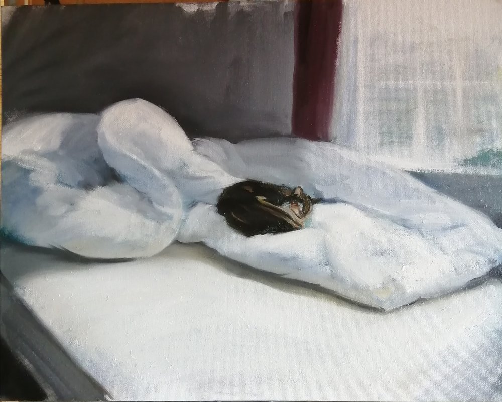  Whose bed is it anyway  Oil on board  40x30cm  £500  An impressionist painting of a cat on a disheveled bed. The softness of the quilt, the sleeping cat, and the light and shadows from the nearby window make this an evocative piece 