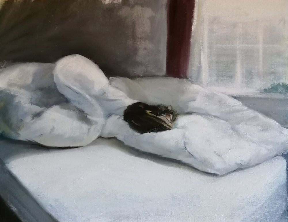  Whose bed is it anyway  Oil on board  40x30cm    An impressionist painting of a cat on a disheveled bed. The softness of the quilt, the sleeping cat, and the light and shadows from the nearby window make this an evocative and painterly piece   