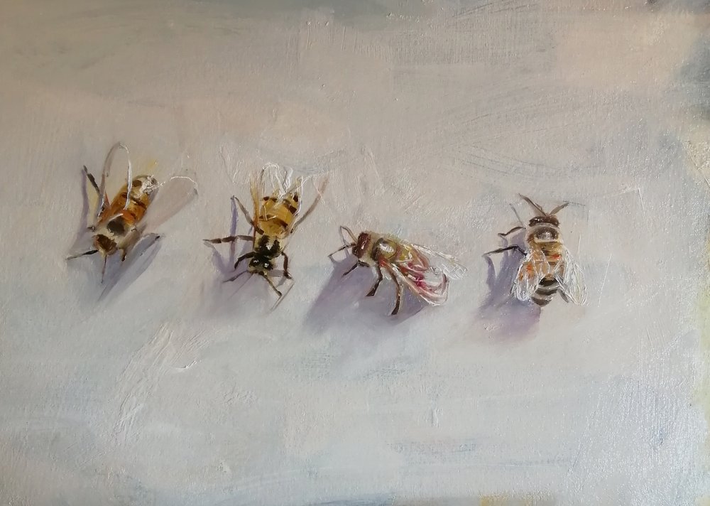  Bee line  Oil on board  40x30cm  SOLD 