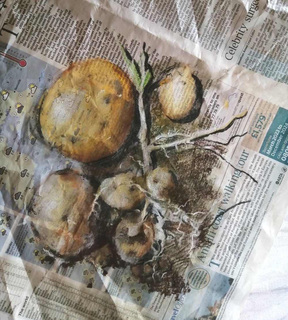  Today’s potatoes, day 3  Pastel and charcoal on newspaper  One of a series of artworks which incorporate the newspaper used to contain the drawing, into the subject matter. Today's news has become 'today's potatoes' now that the content of the newsp