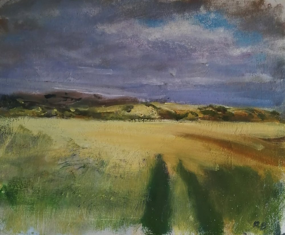  Long shadows  Oil on board  31x26cm  SOLD  Shadows cast on a summer evening in a Wiltshire landscape 