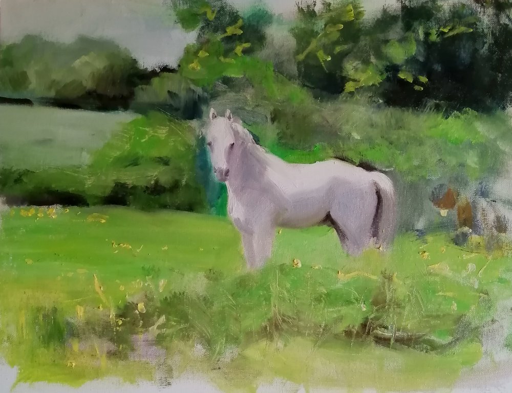  Louis in his dandelion field  Oil on board  40x30cm  £450  A pony who always seemed lonely, confined to a small dandelion field in Wiltshire 