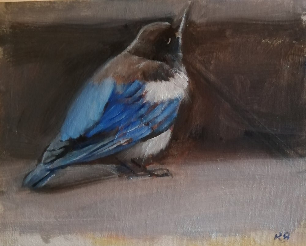  Baby magpie  Oil on board  26x21cm  £395 