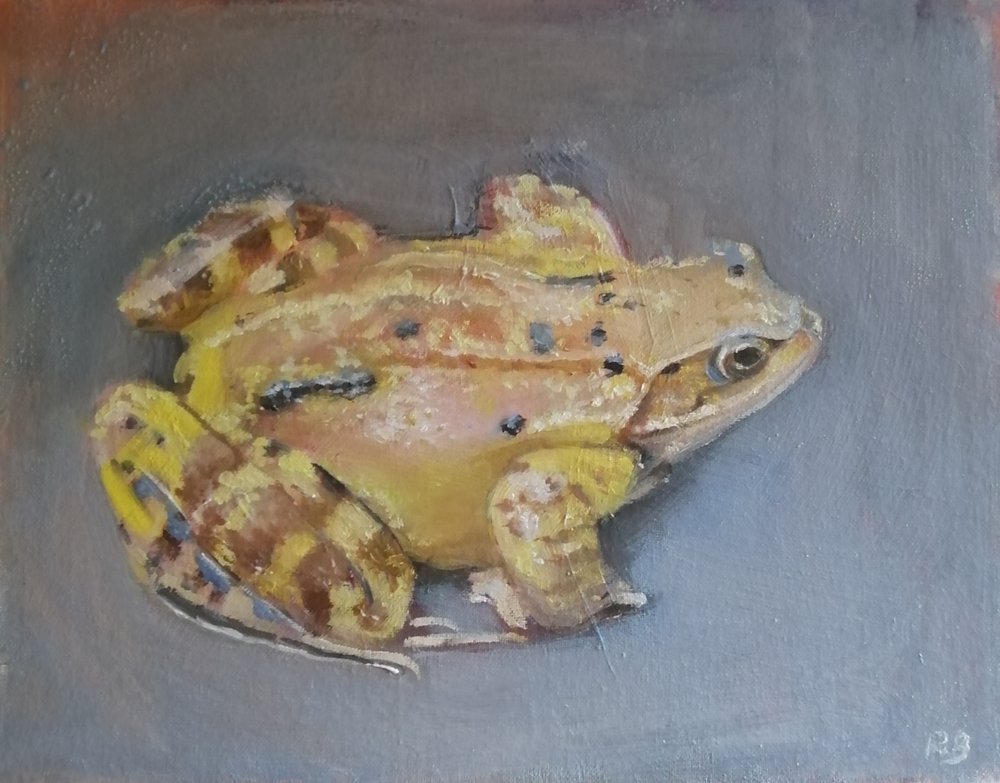  Toad  Oil on board  31x26cm  SOLD at the SWLA exhibition 2023 ‘The Natural Eye’, Mall Galleries London 