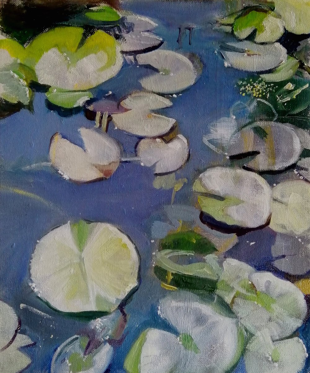  23 waterlilies  Oil on board  25x31cm  not currently available 