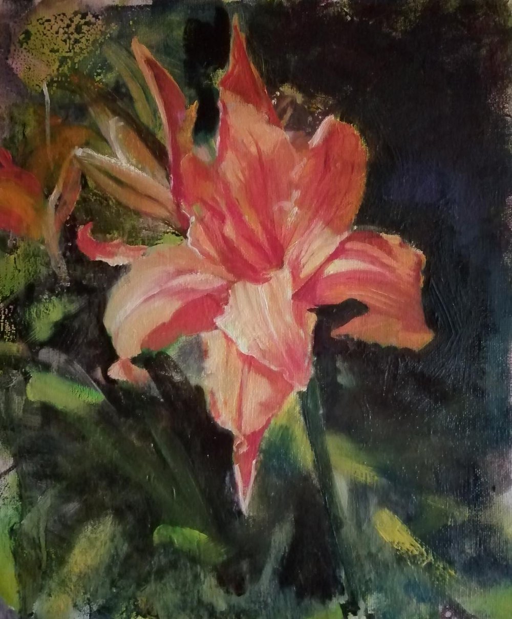  Day lily  Oil on board  £400 