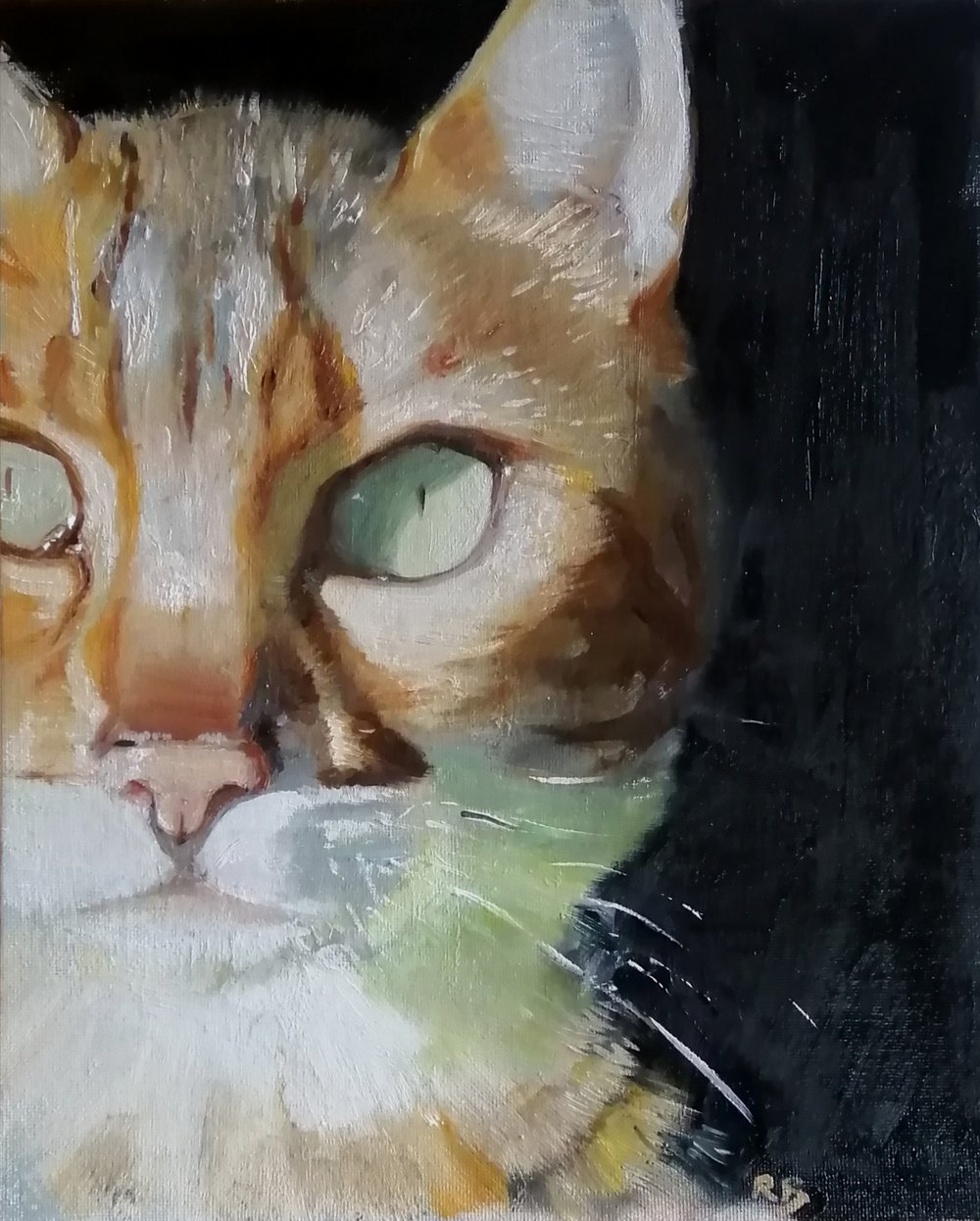  Cat’s eyes  Oil on board  26x31cm  not currently available 