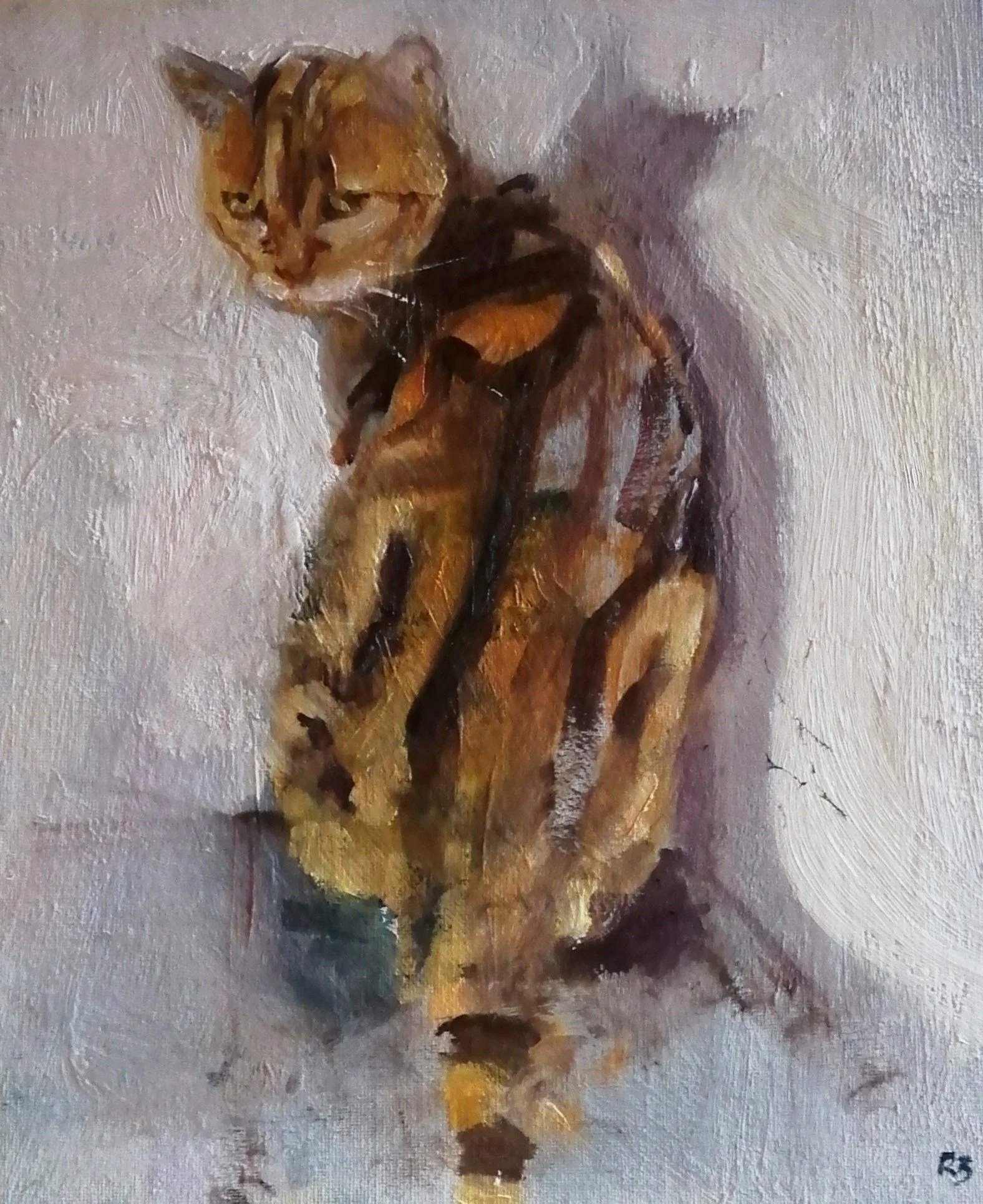 cat2025.jpg