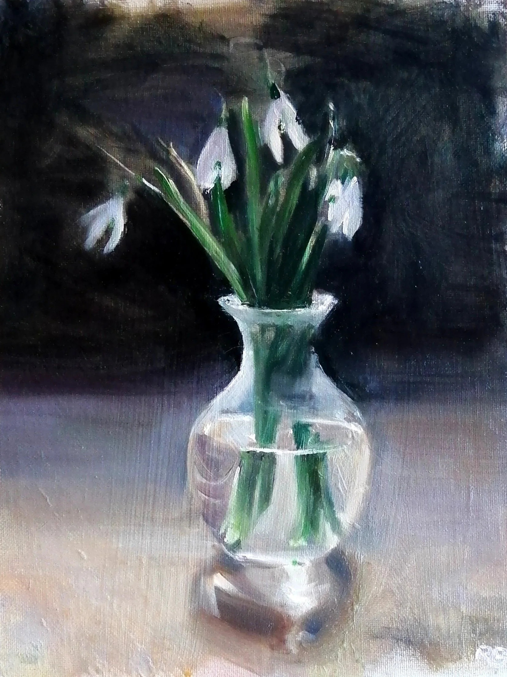 snowdrops26.jpg