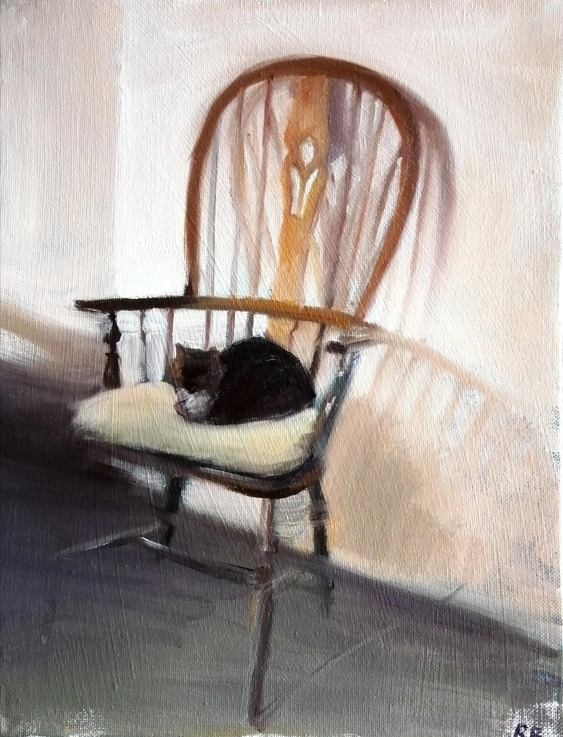  Cat on a chair (2026)   Oil on board  28×36cm  £500 