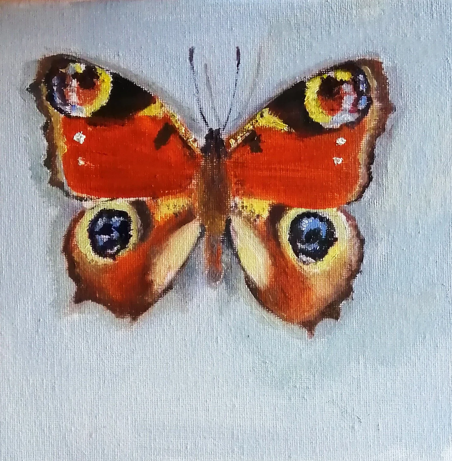 Drawings/ work in progress