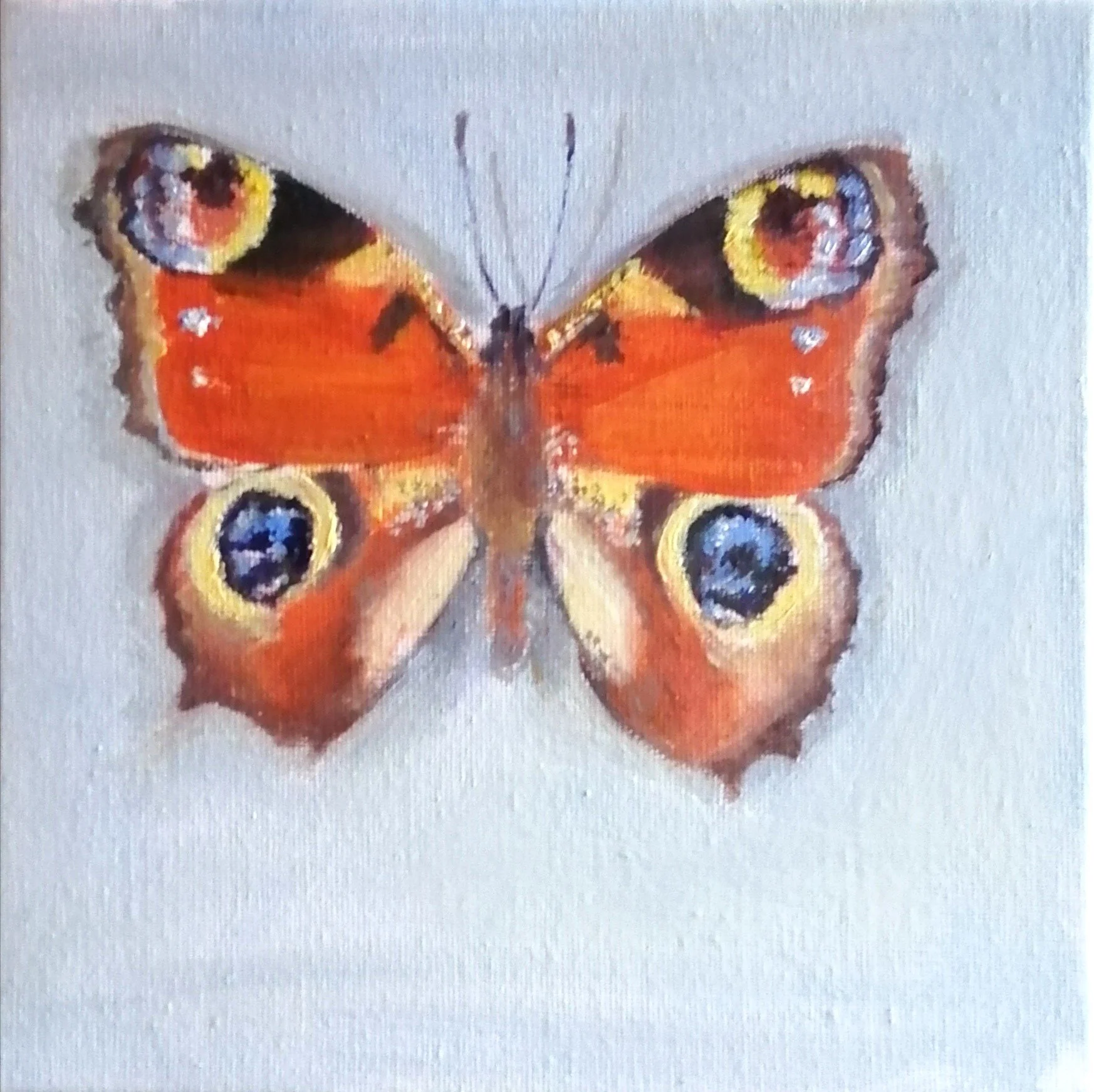 Drawings/ work in progress