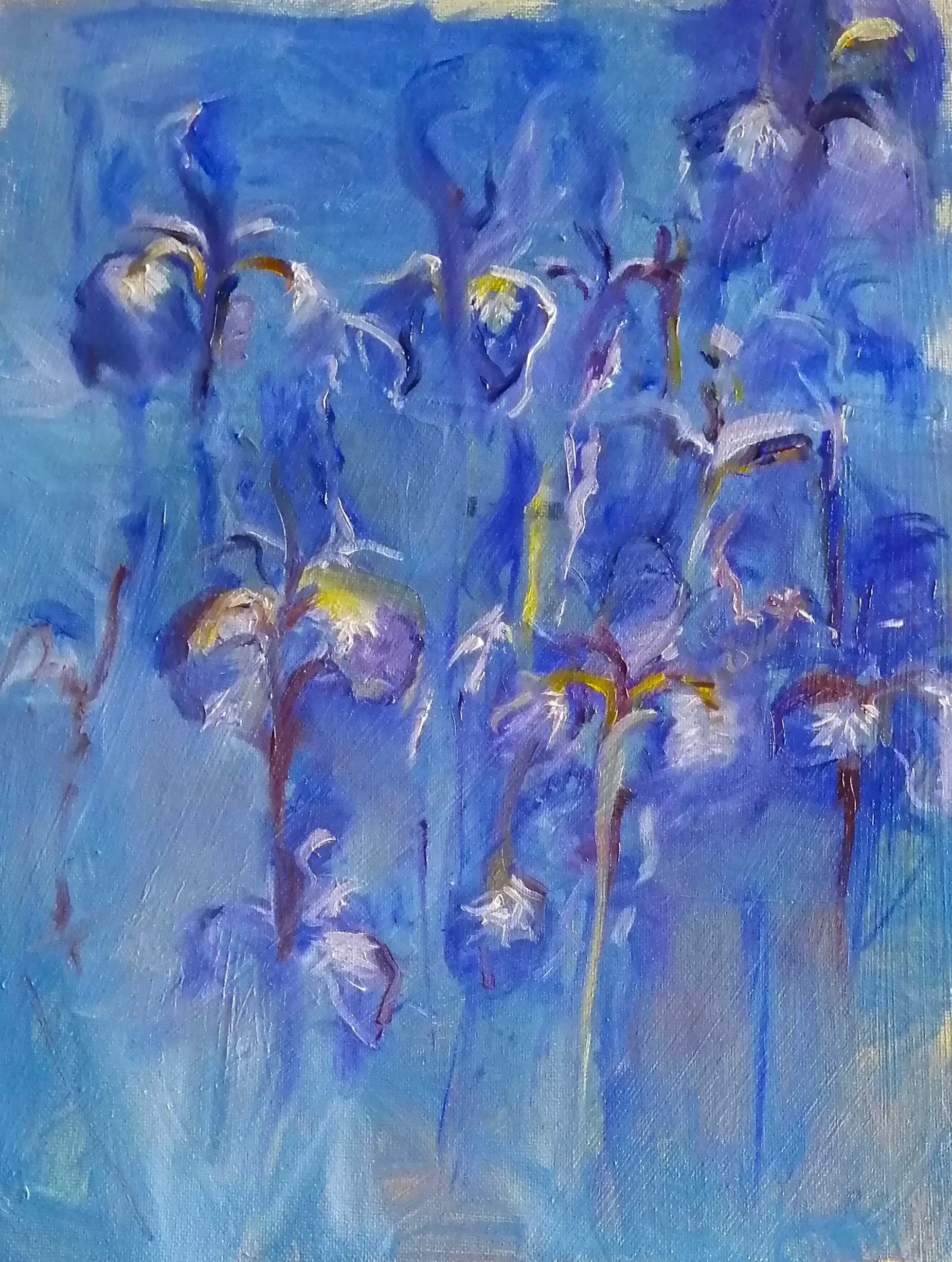 Drawings/ work in progress