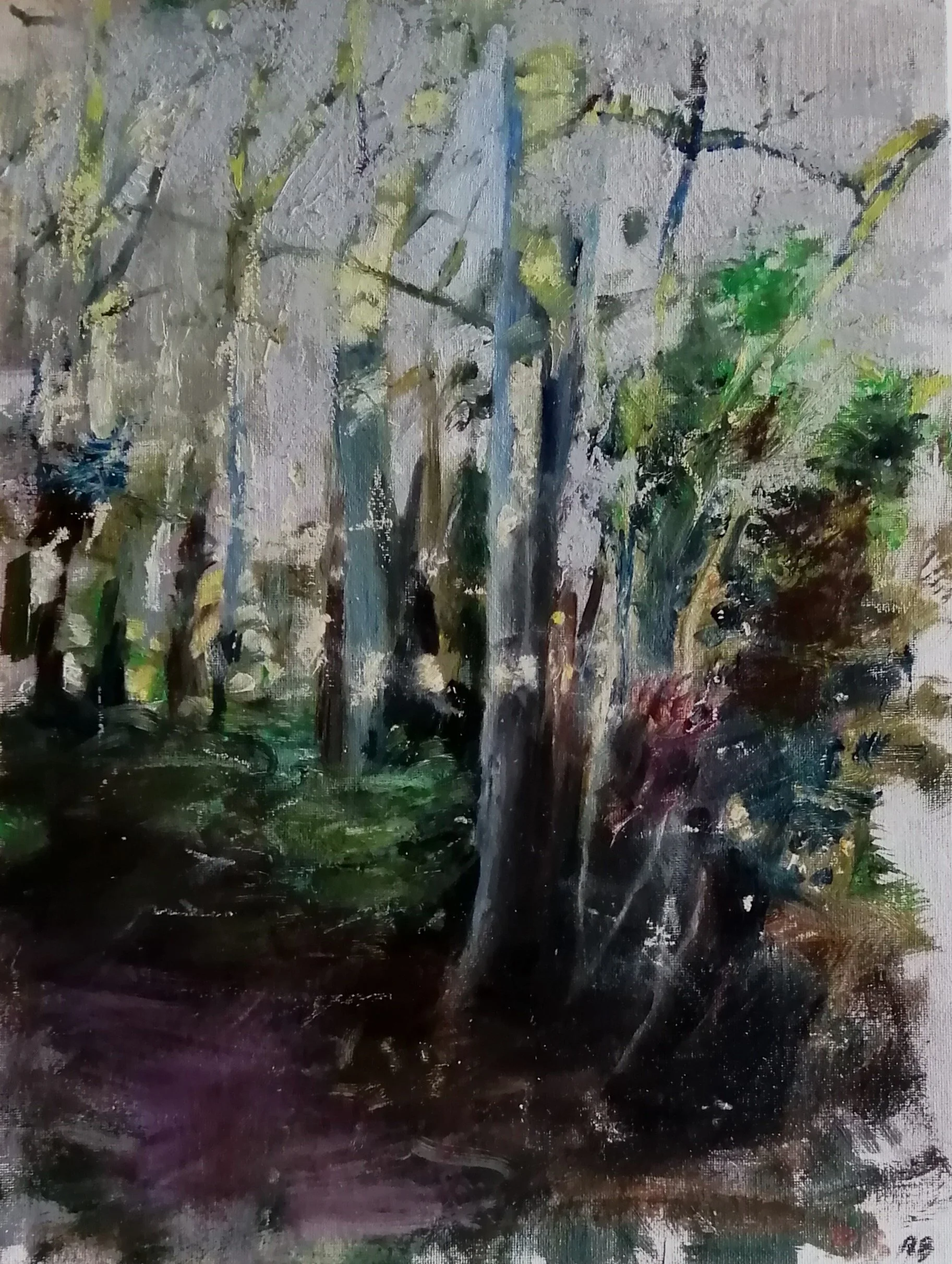  Woodland haunt   Mixed media on board  31×41cm  £500   