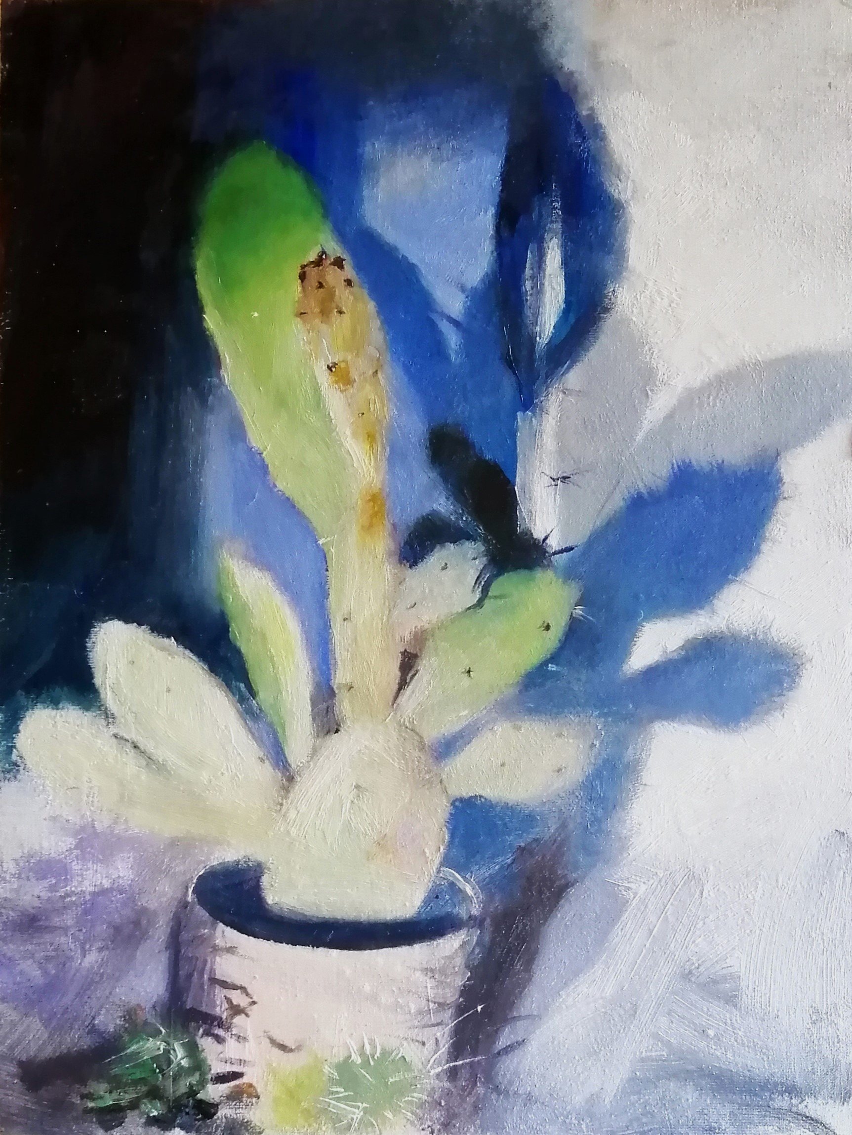 Drawings/ work in progress