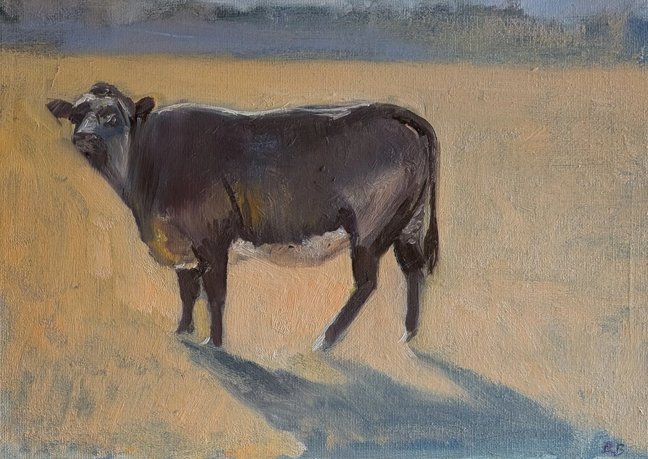 bull26.jpg