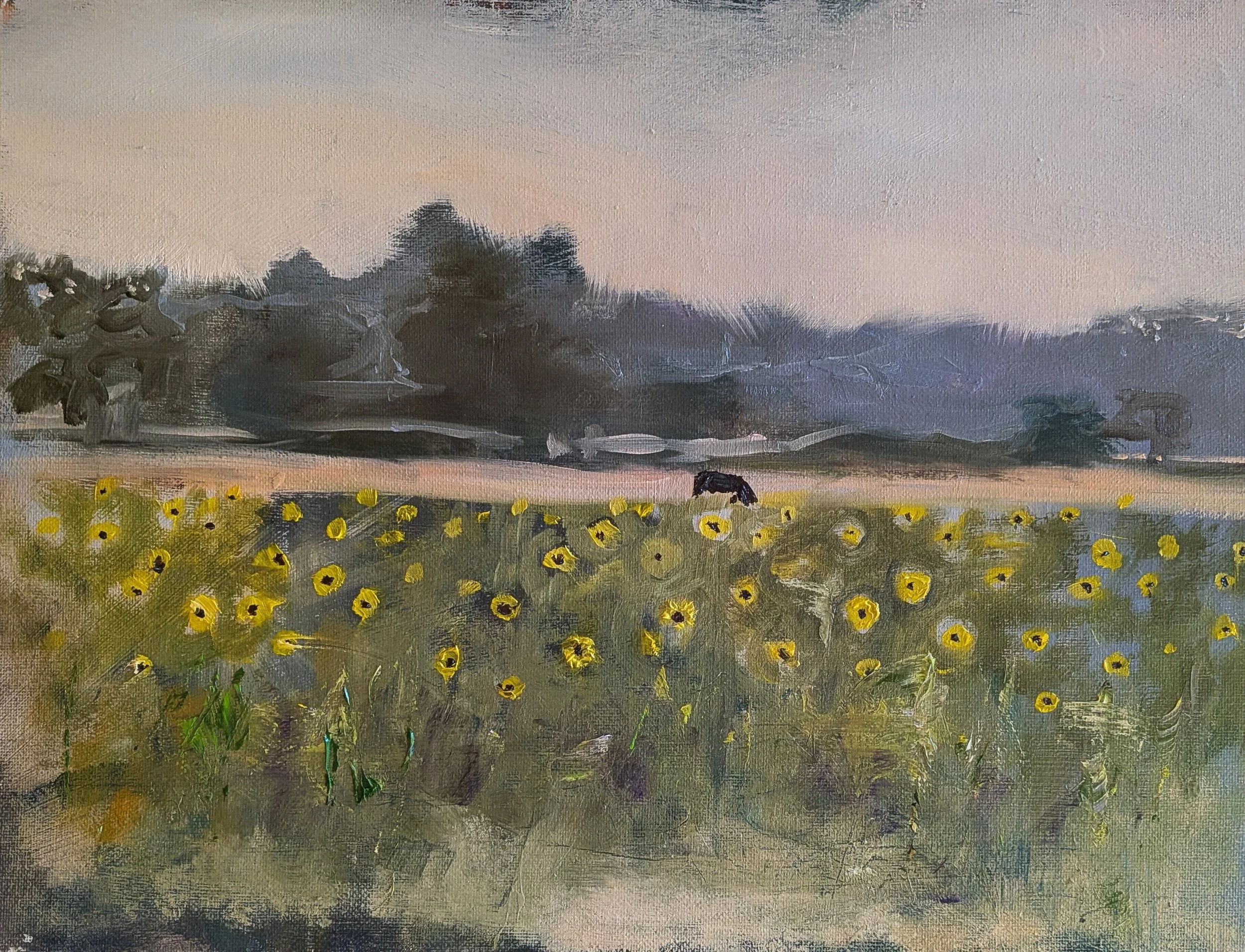 fieldofsunflowers.jpg