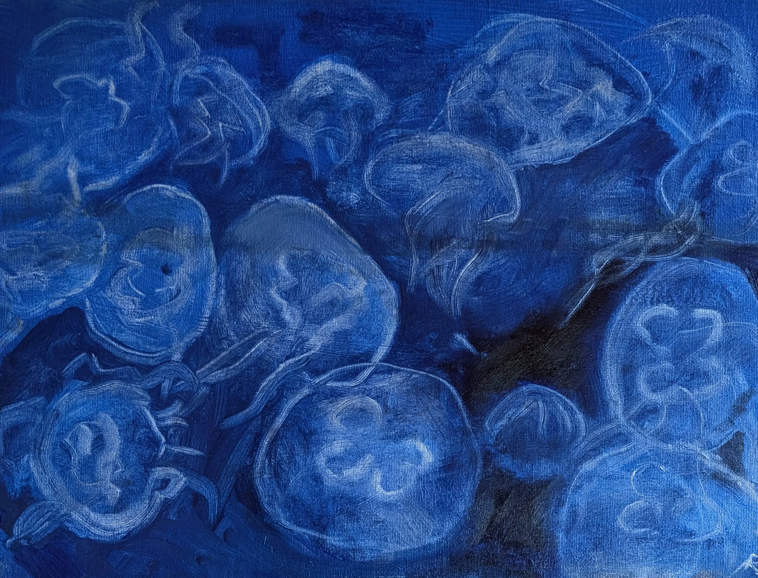moonjelly26.jpg