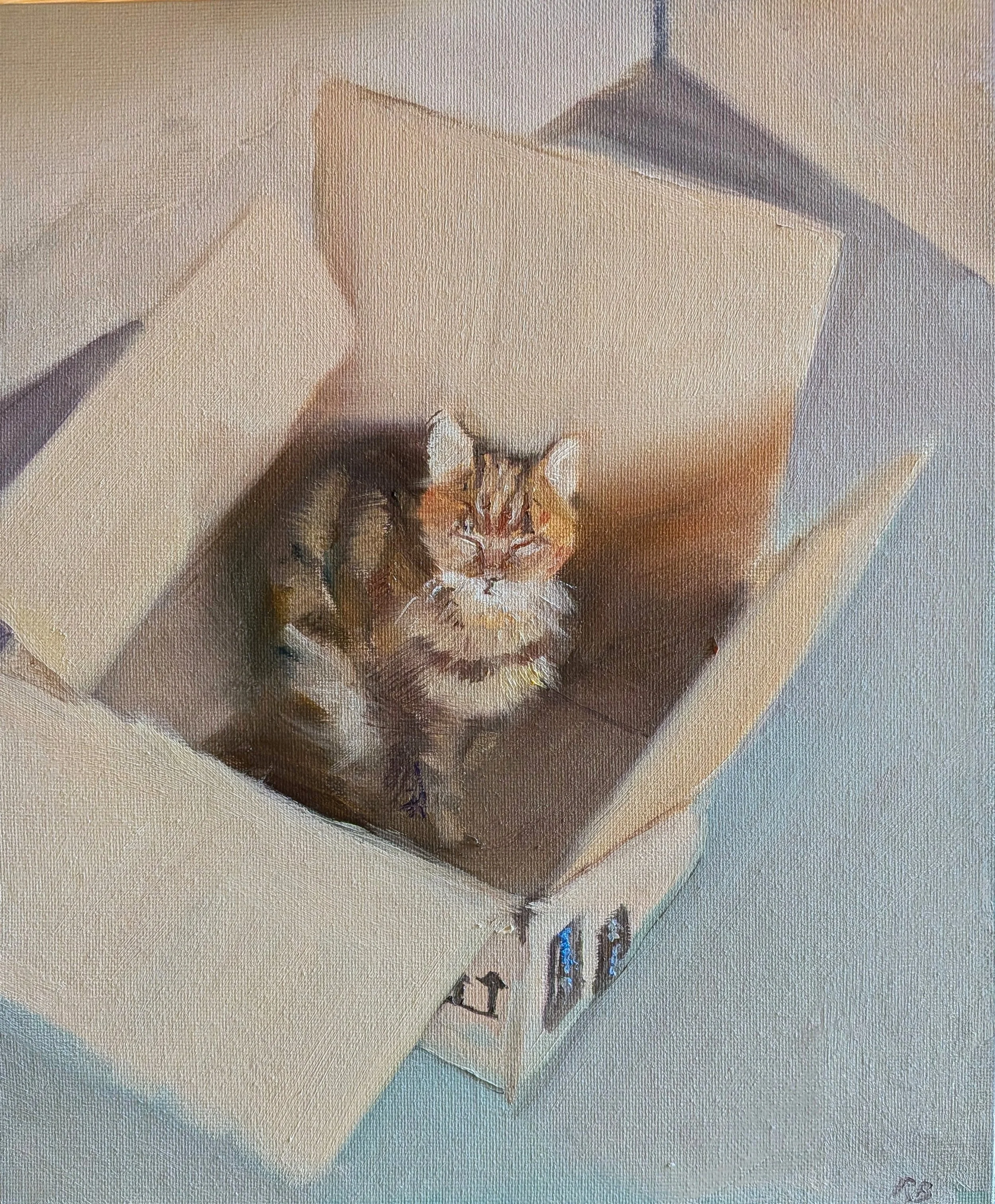 catinabox26.jpg
