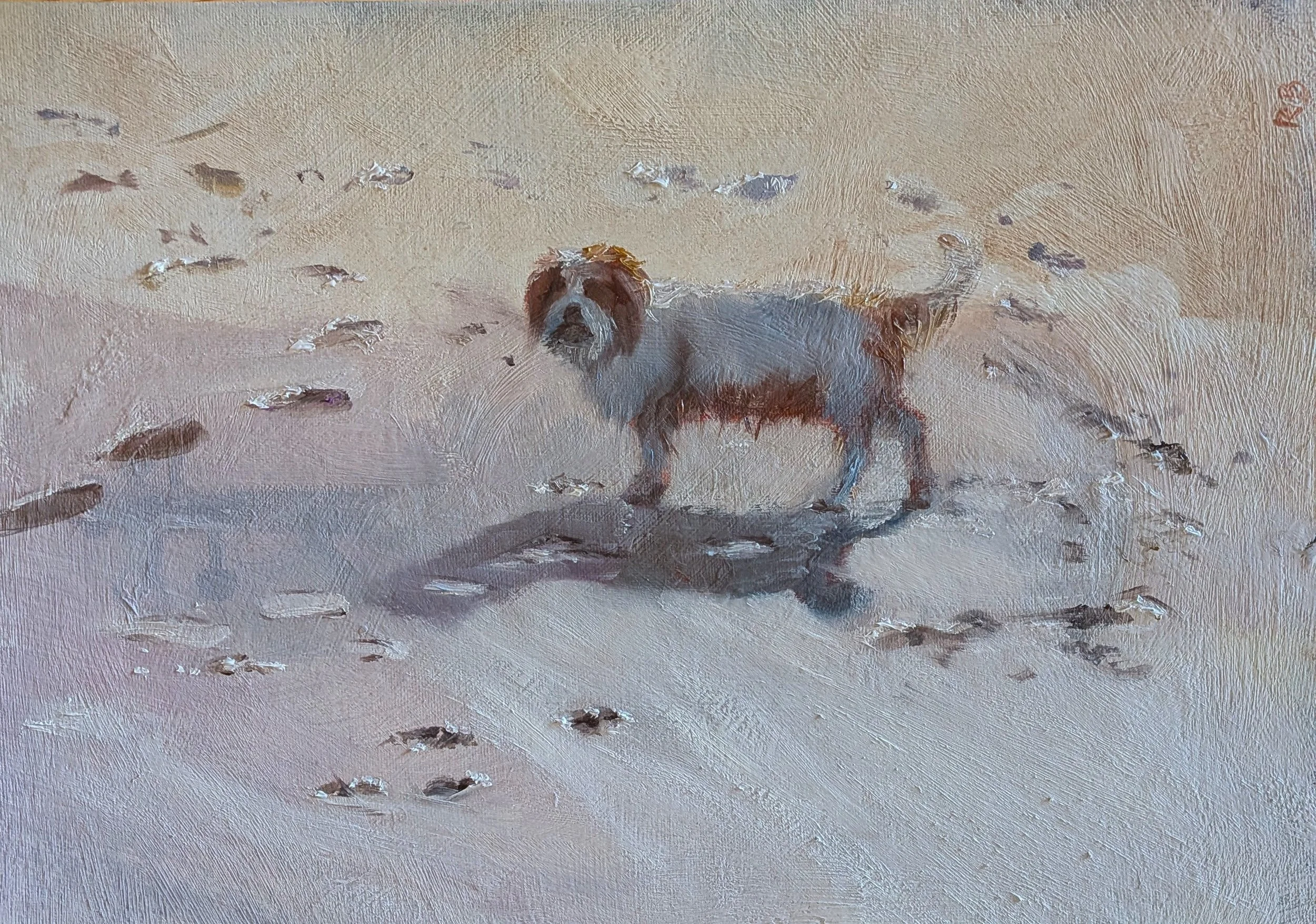 Footprintsinthesand26.jpg
