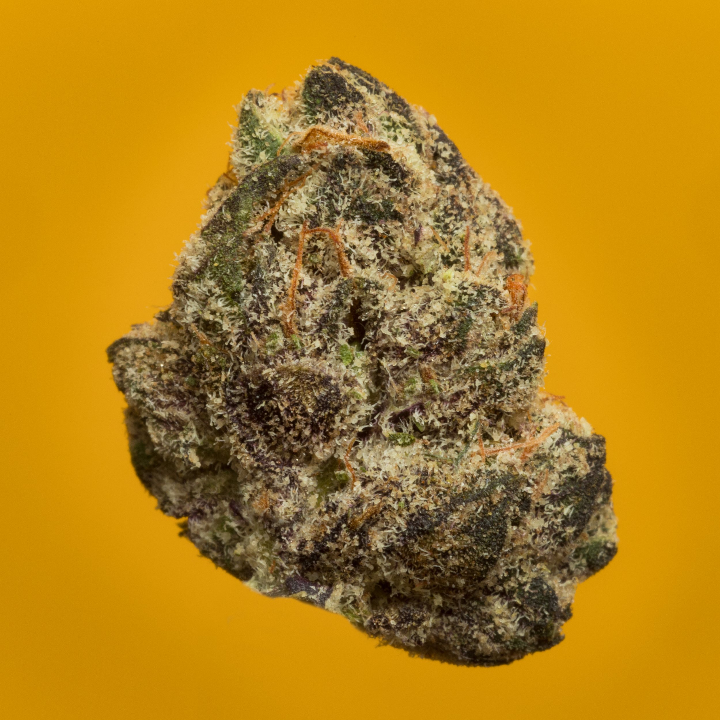 Blue Magic 24372