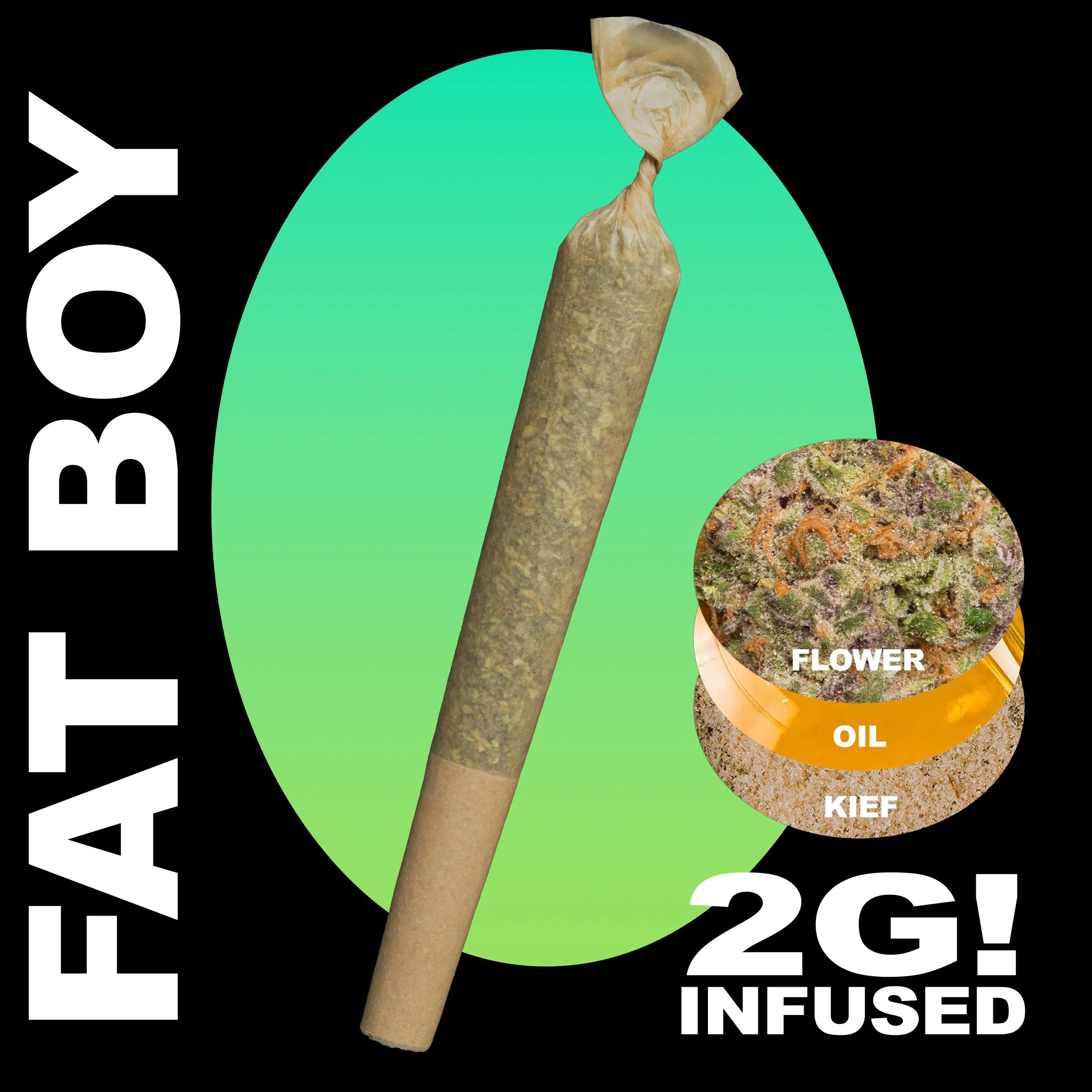 Hybrid-2g-FATBOY-NL.jpg