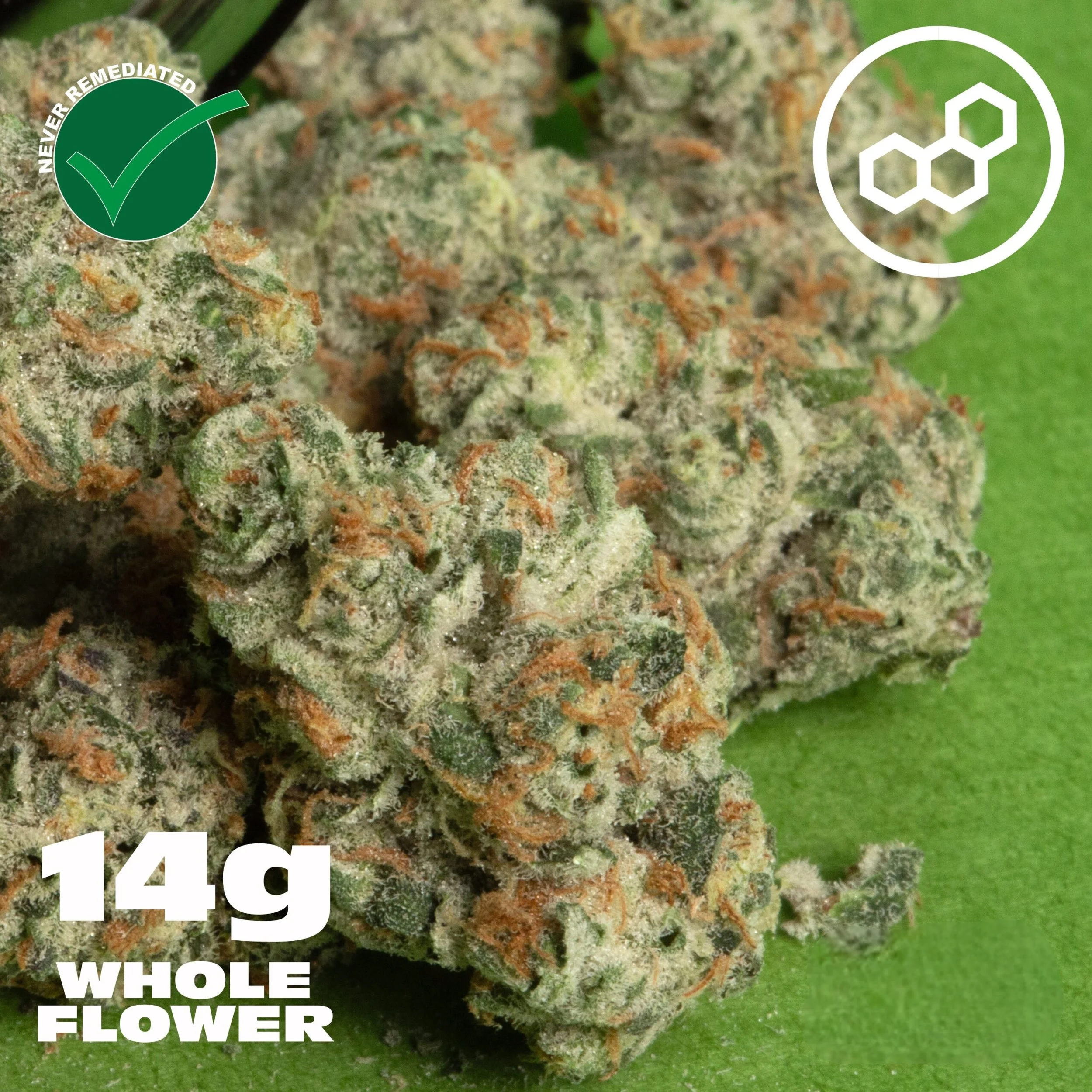 Black Cherry GMO 14g.jpg