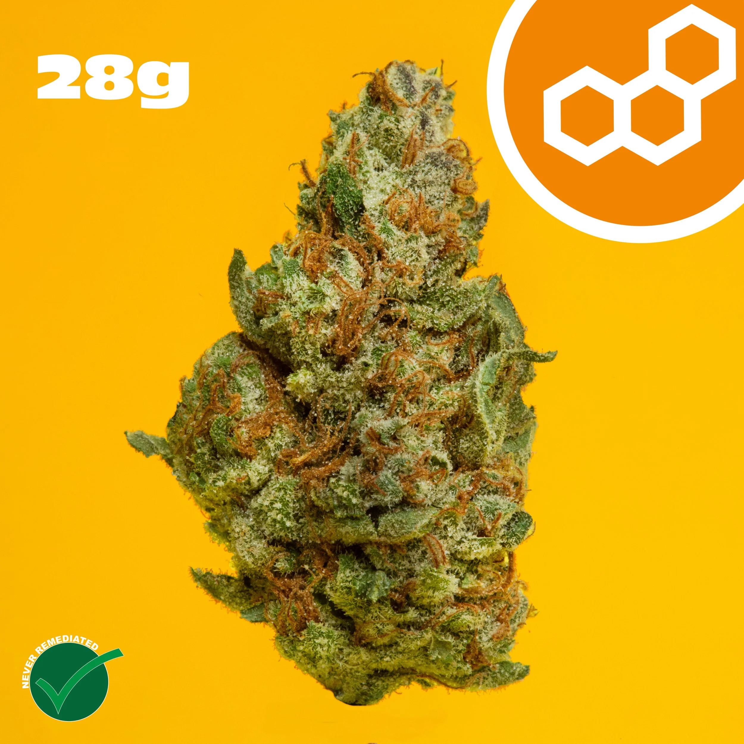 Colorado-Flo-28g.jpg