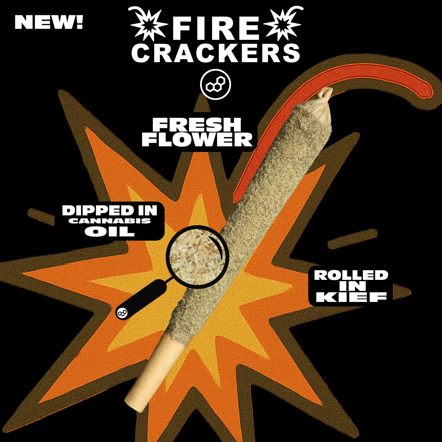 Square-Firecracker-Description.jpg