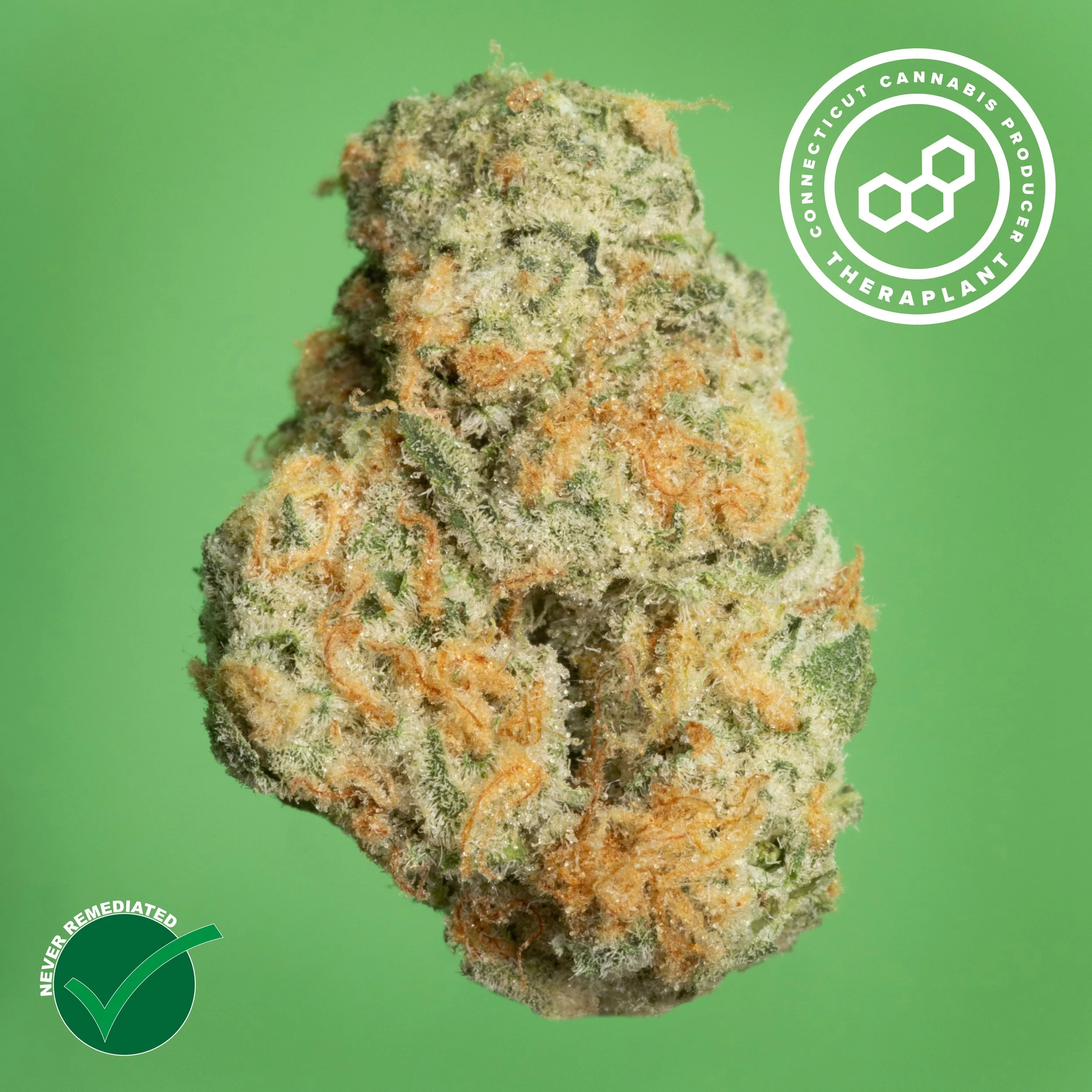 Black-Ch-GMO-NR.jpg