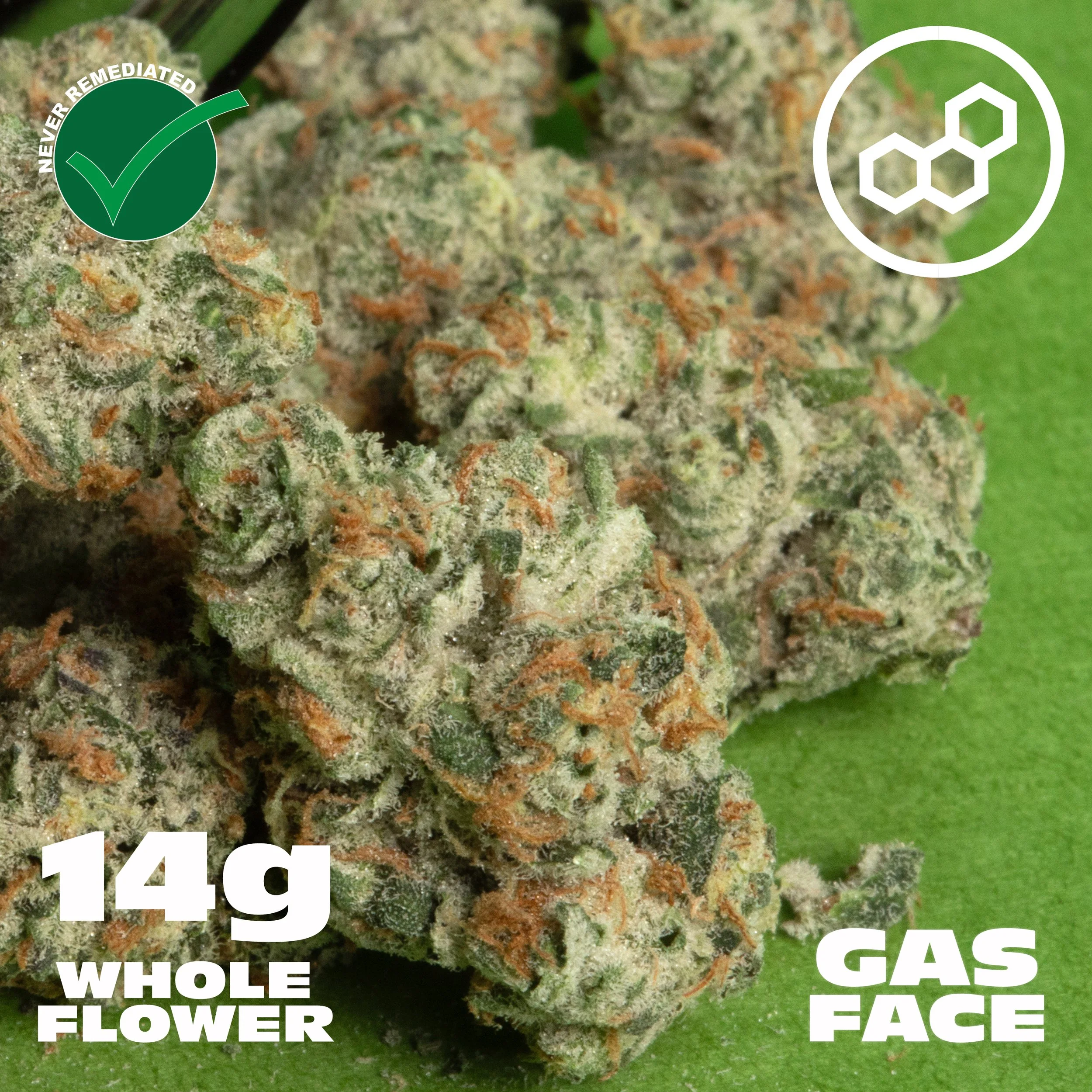 Gas-Face-14g.jpg