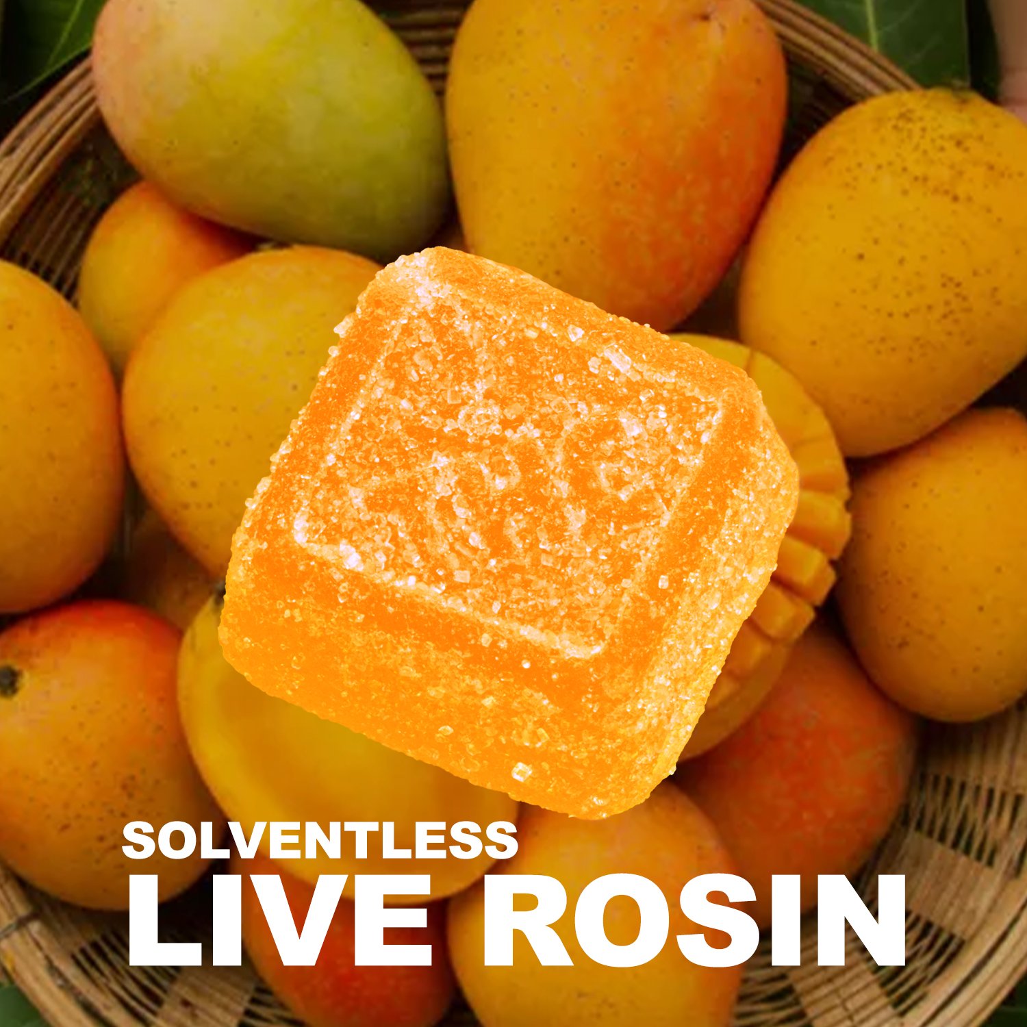 Mango Live Rosin Gummies 4227