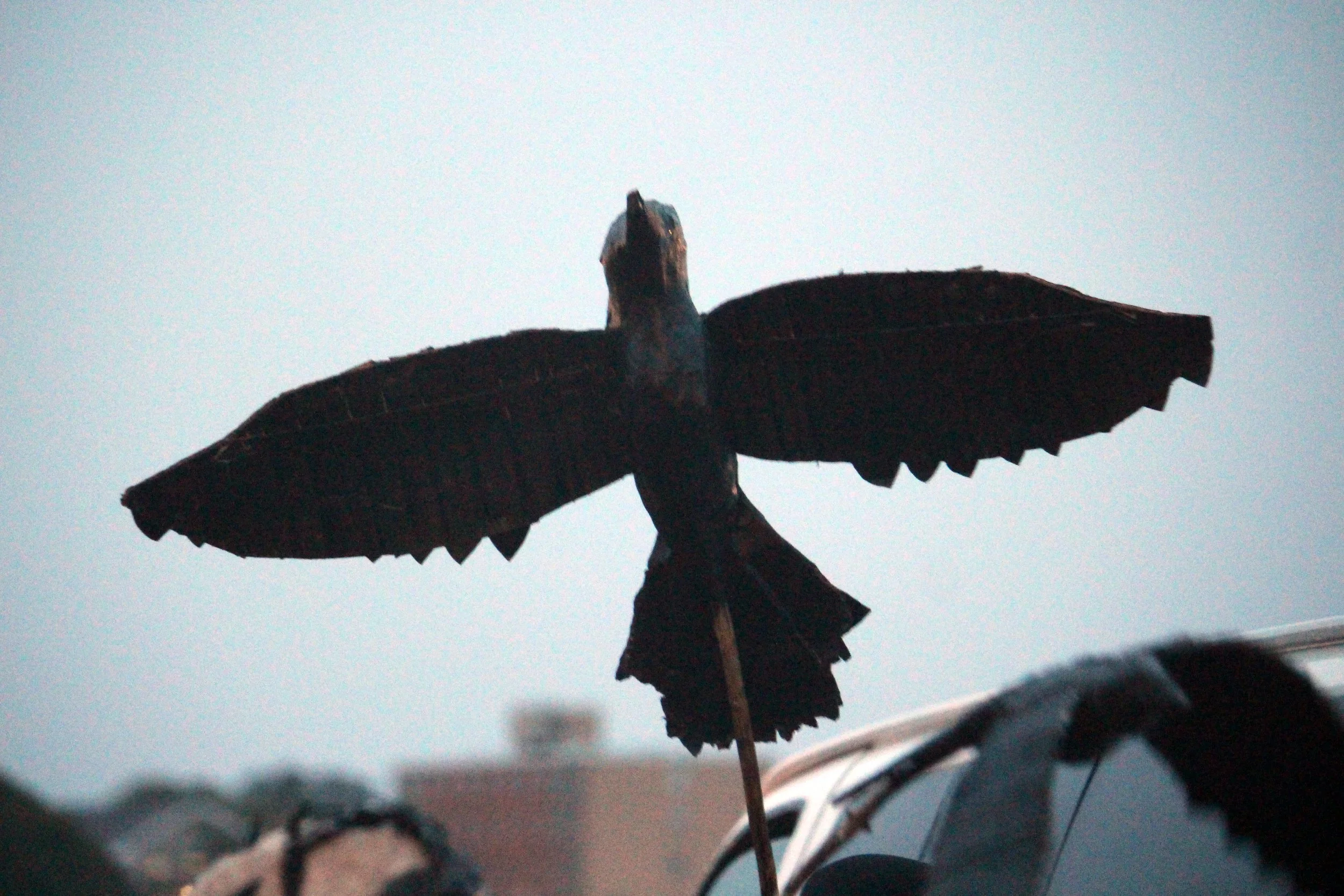 March of the Crows