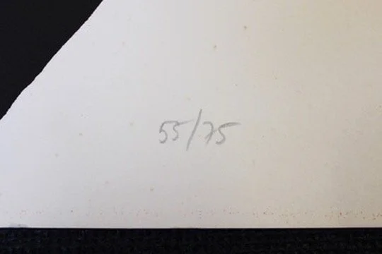 8EA9C79B-BDC5-40A4-9875-250CB2FE3495.JPG