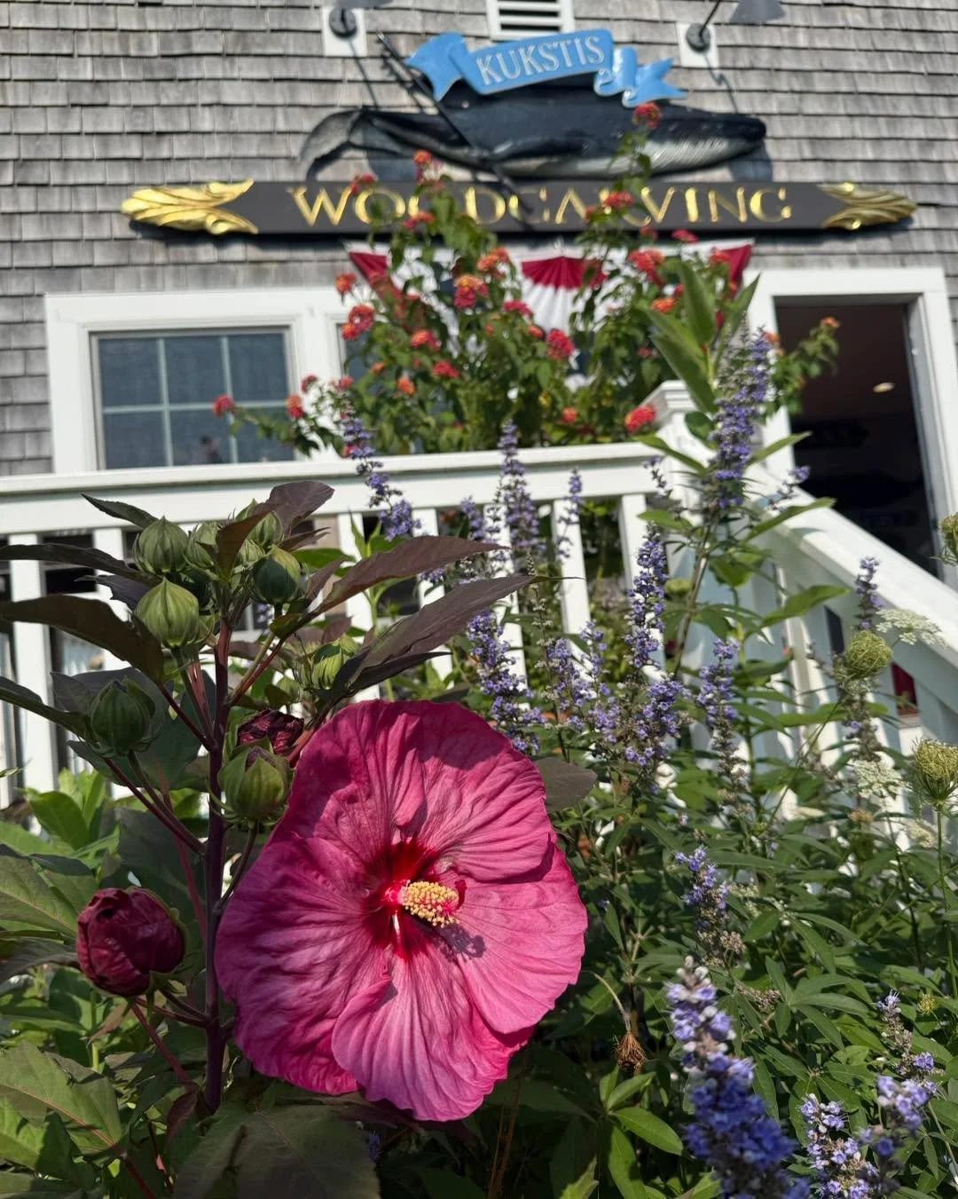 Thanks to all who stopped by during Scituate  Heritage Days&hellip;what a great turnout for our contest. Congrats to Maureen Hurley of Scituate for winning the free quarterboard.  We are so grateful for the great variety of plants in the garden that 